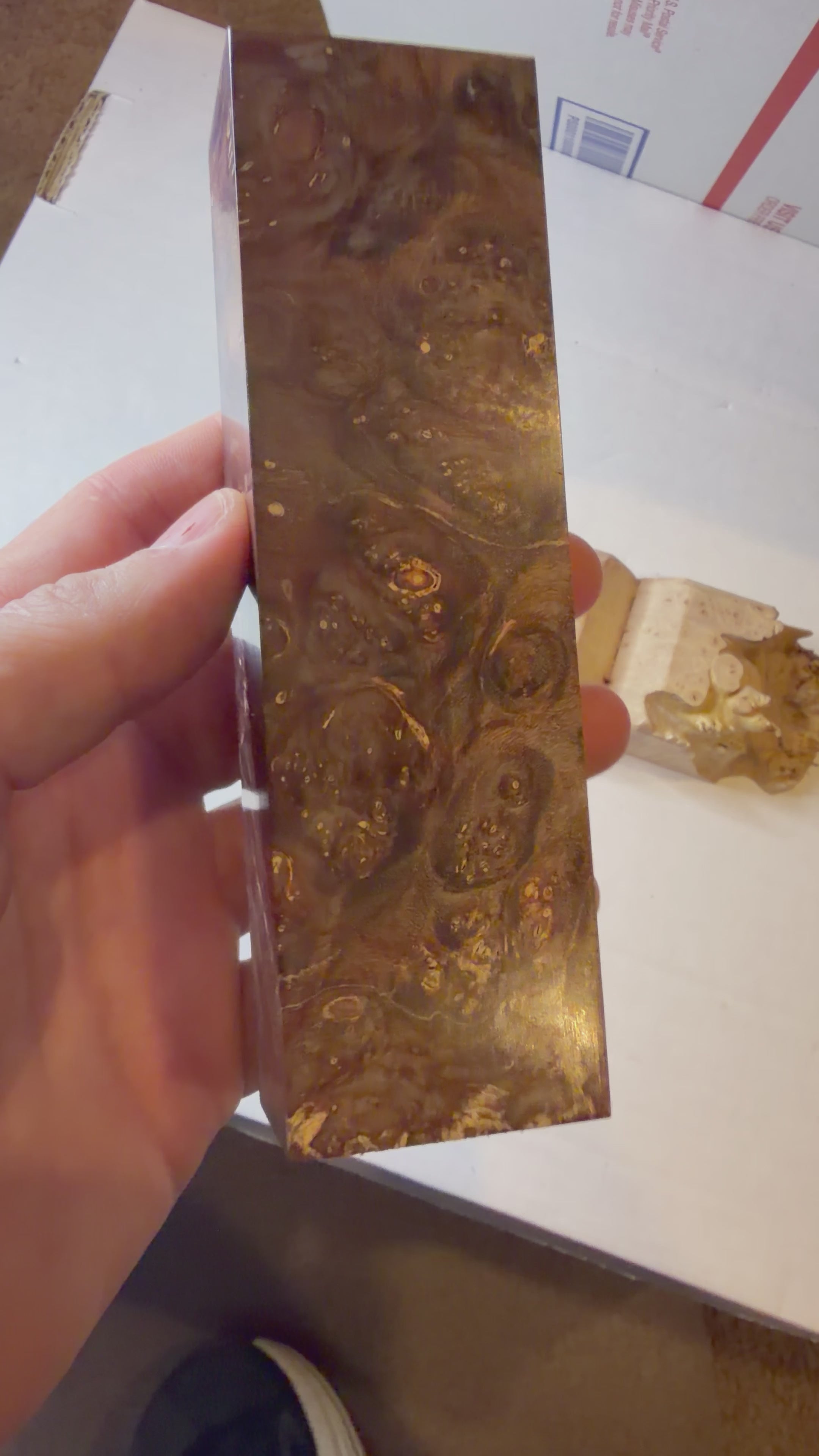 Boxelder Burl | #0627