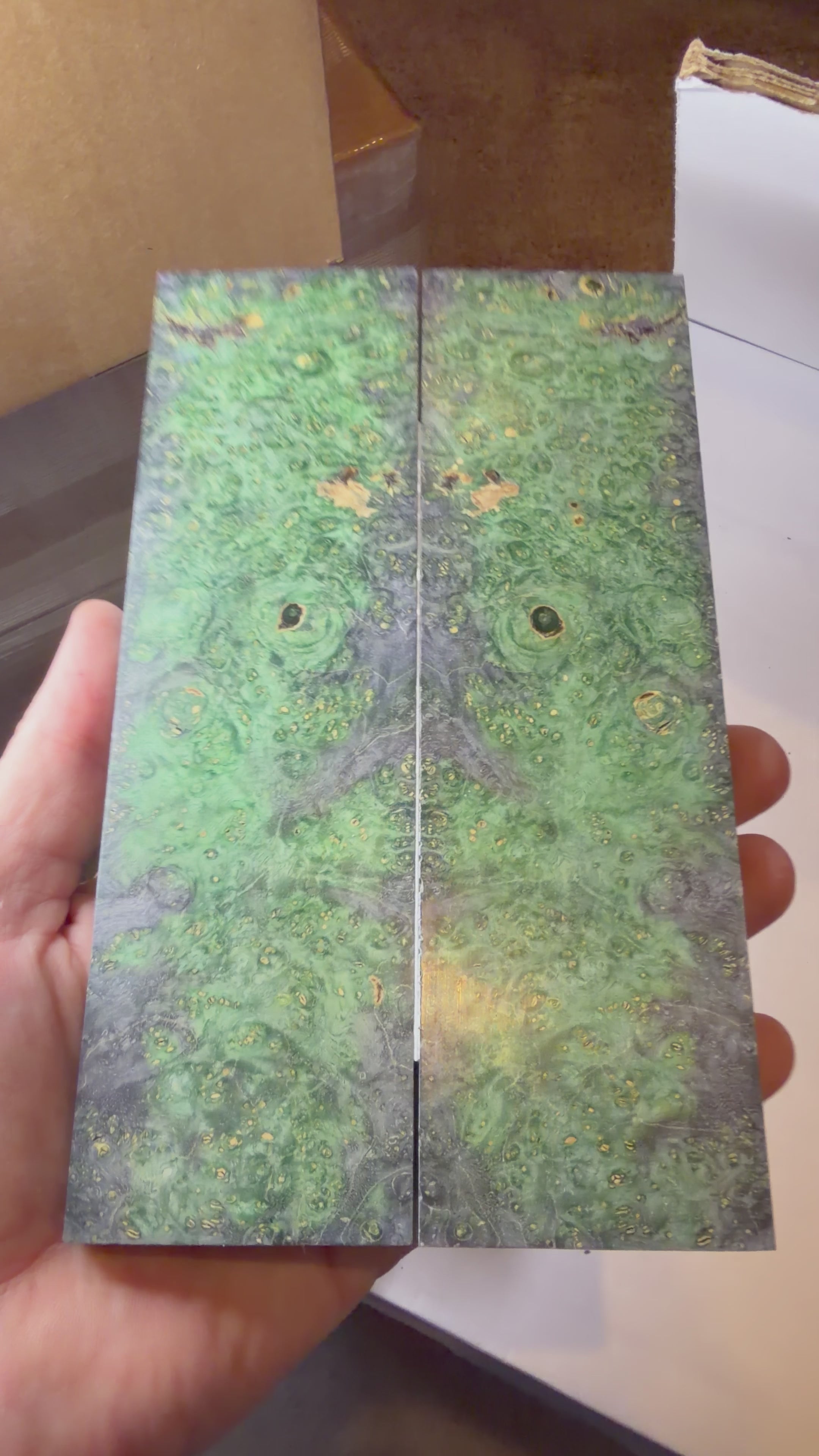 Boxelder Burl | #0571