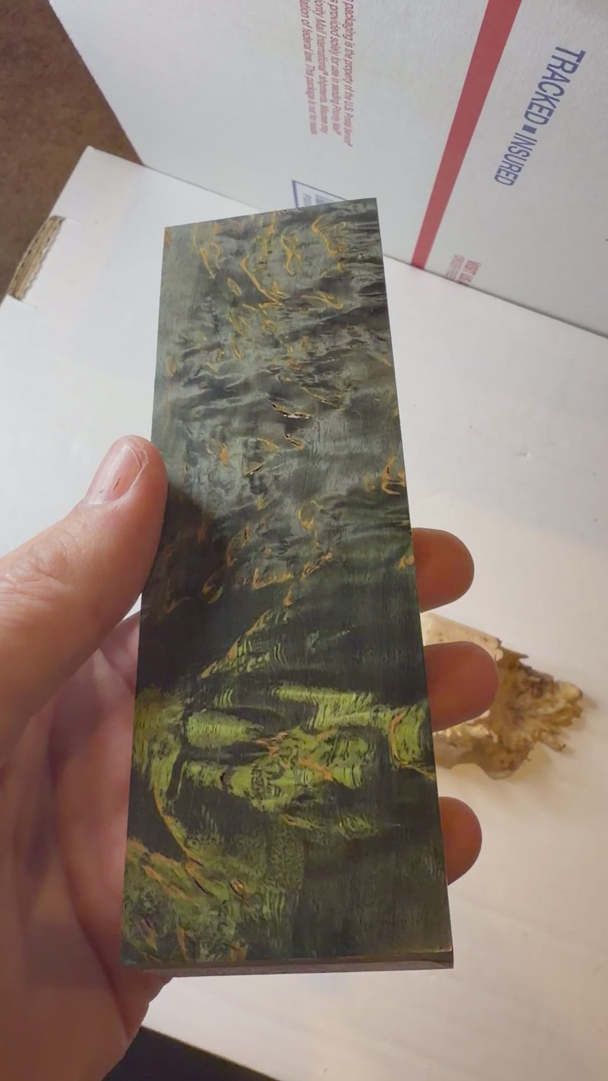 Karelian Birch | #0643