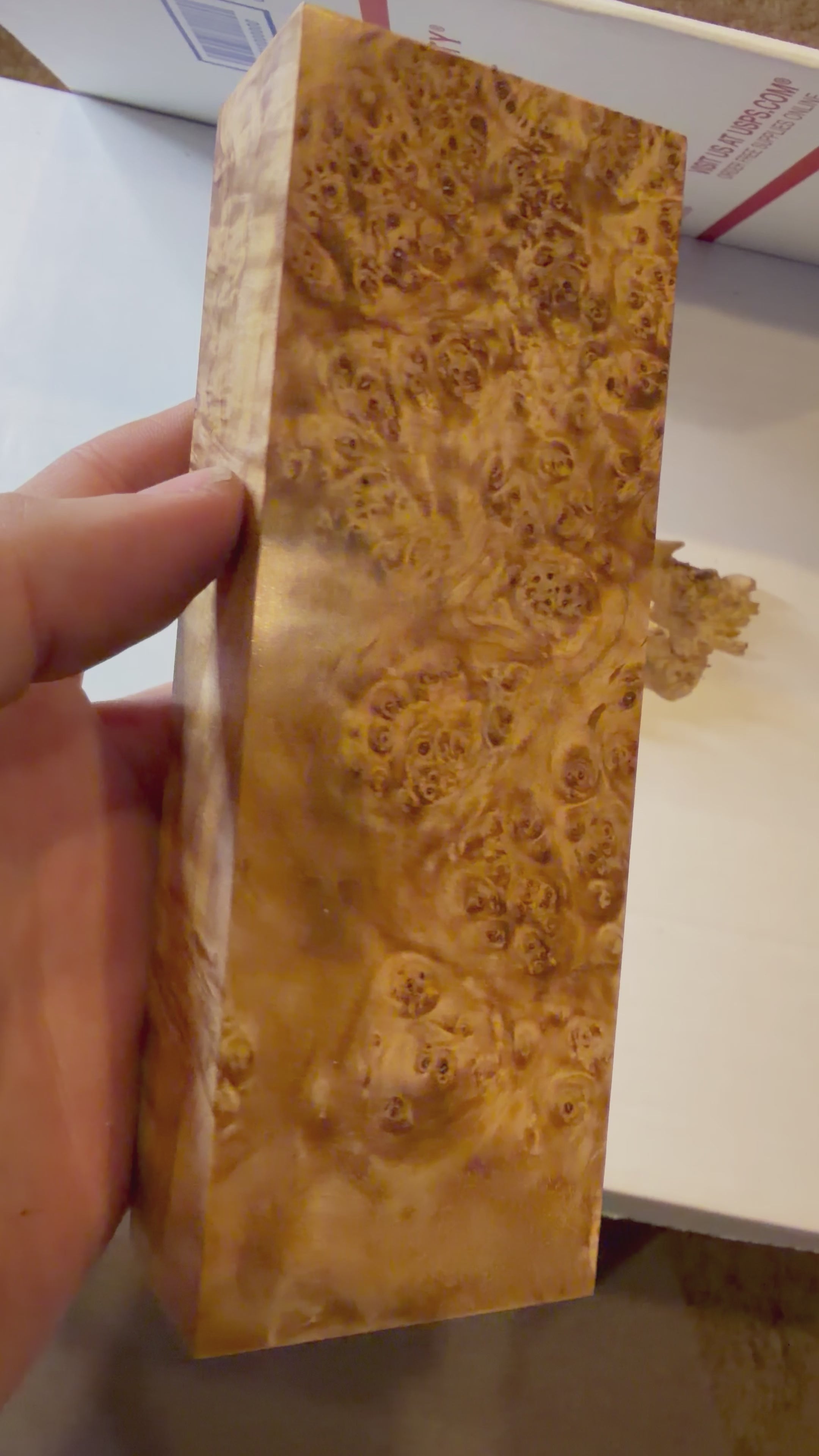 Birch Burl | #0418