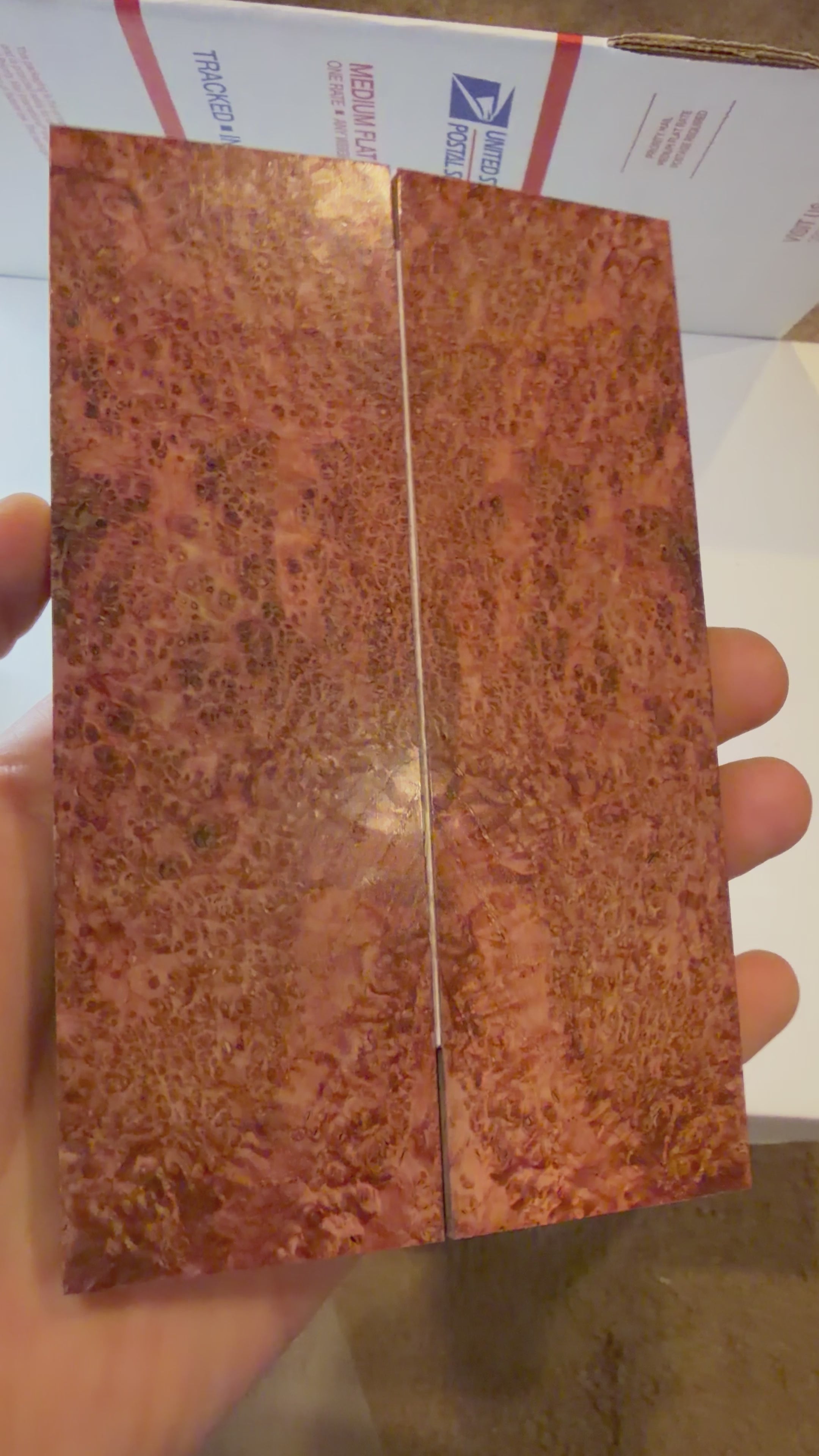 Blackash Burl | #0318