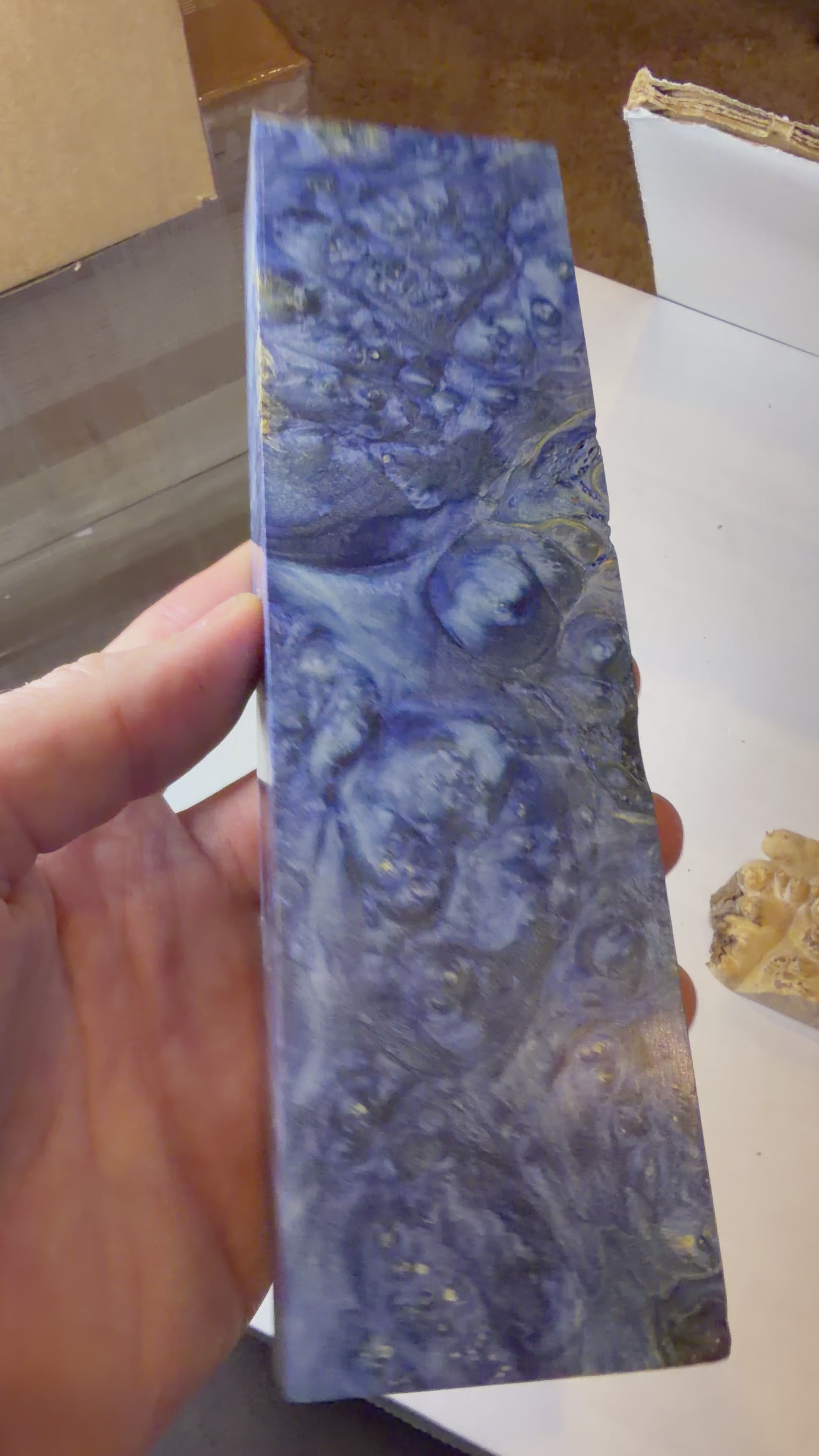 Boxelder Burl | #0588