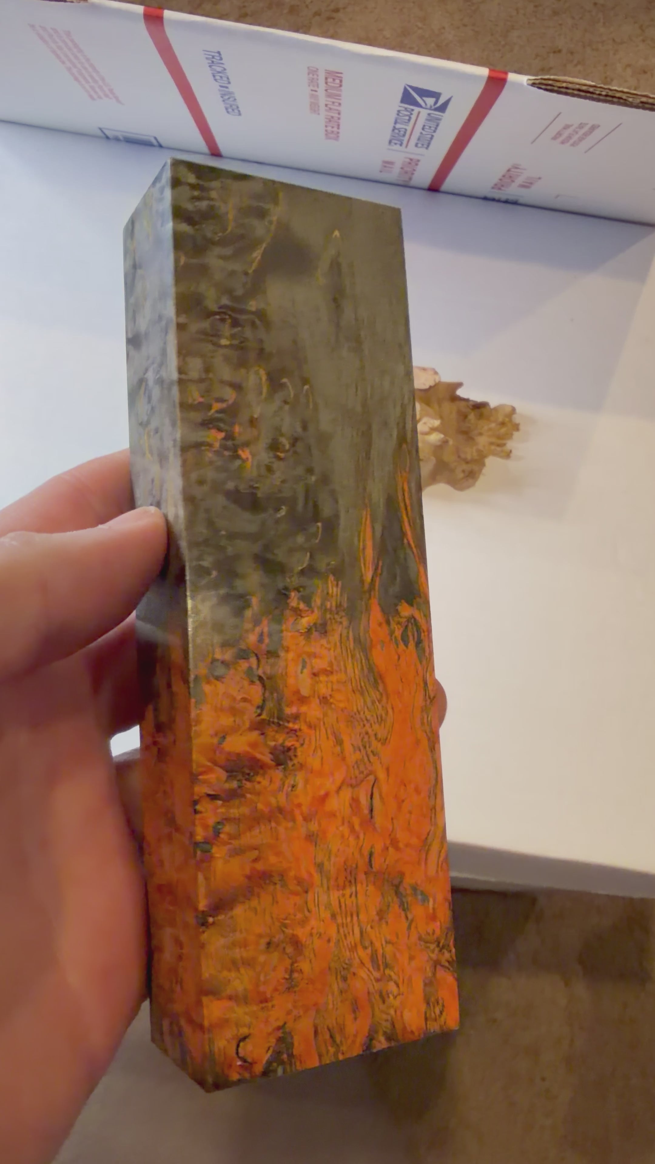 Karelian Birch Burl | #0260