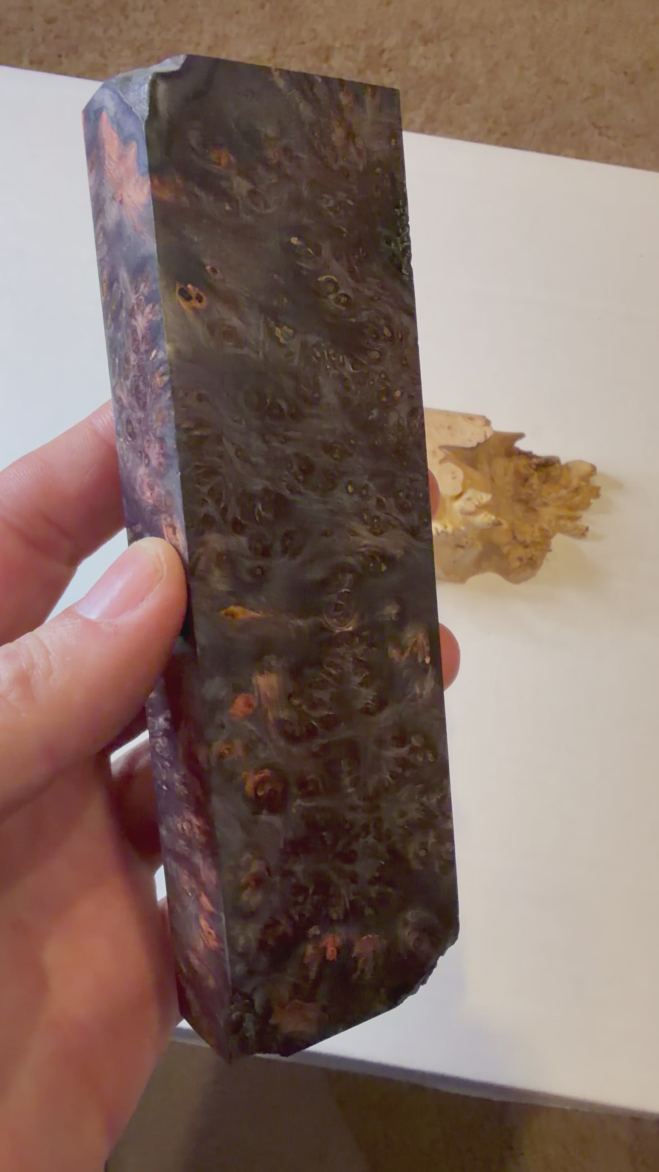 Yellow Cedar Burl | #0252