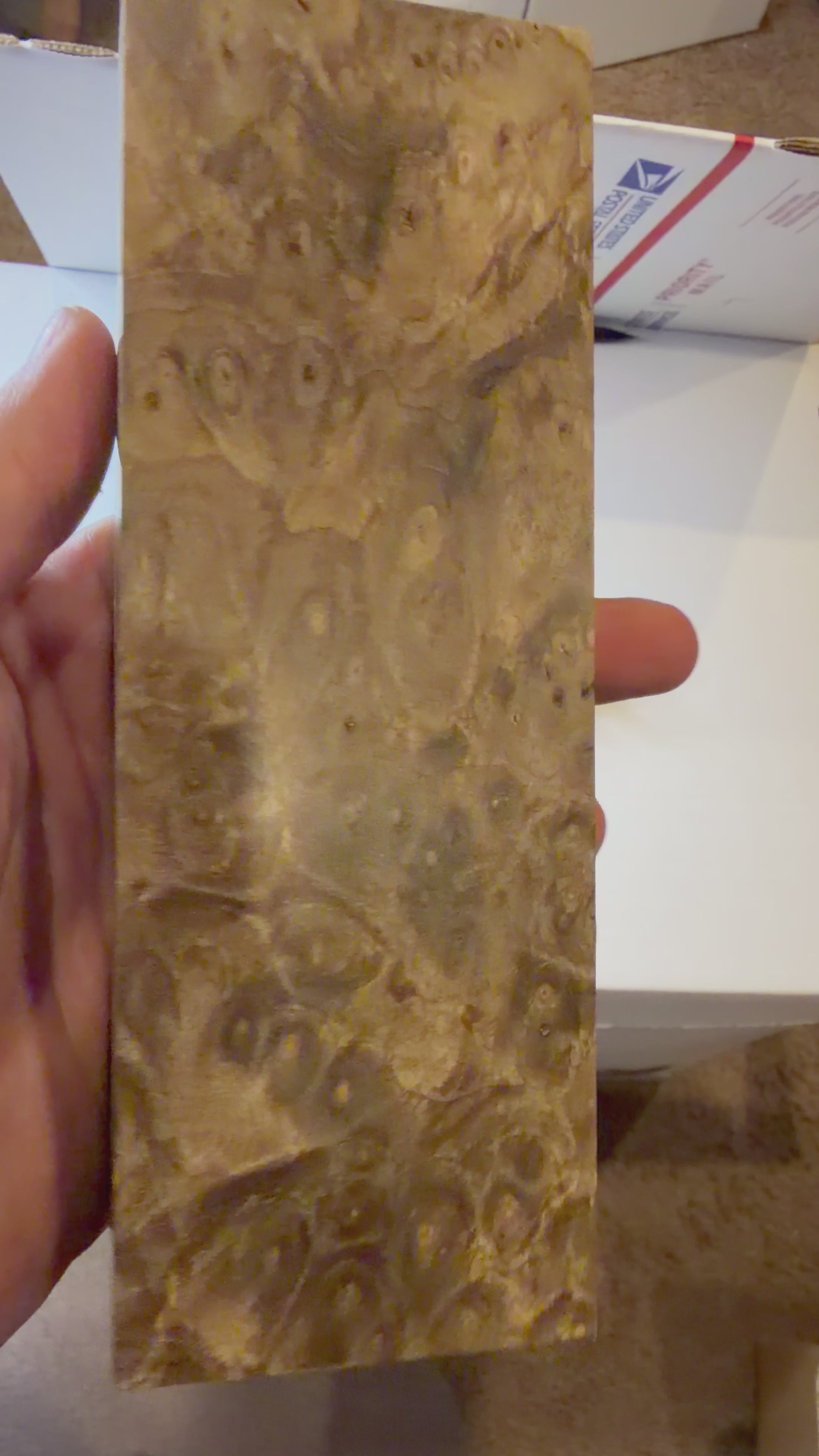 Turkish Walnut Burl | #0361