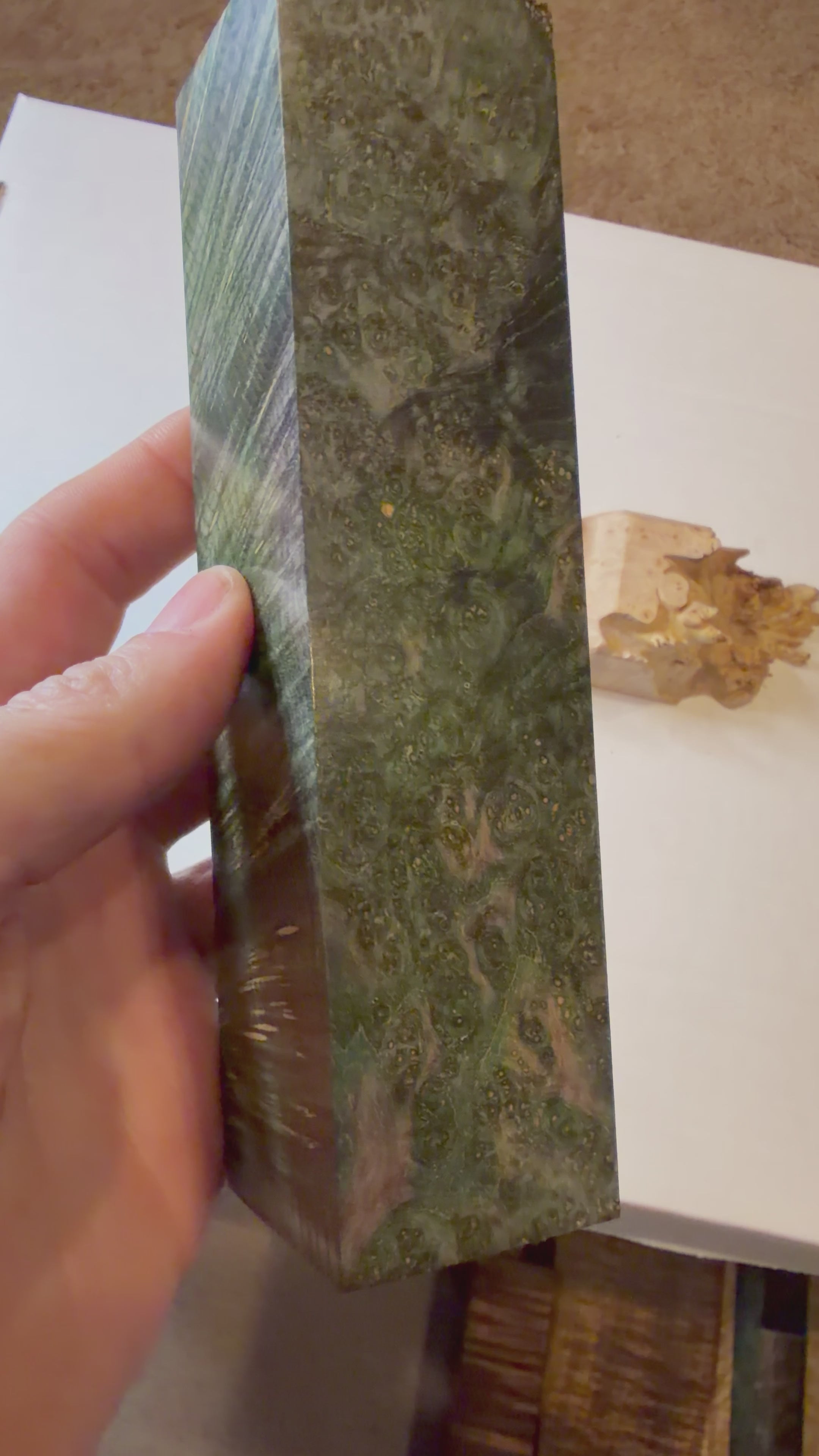 Blackash Burl | #0251
