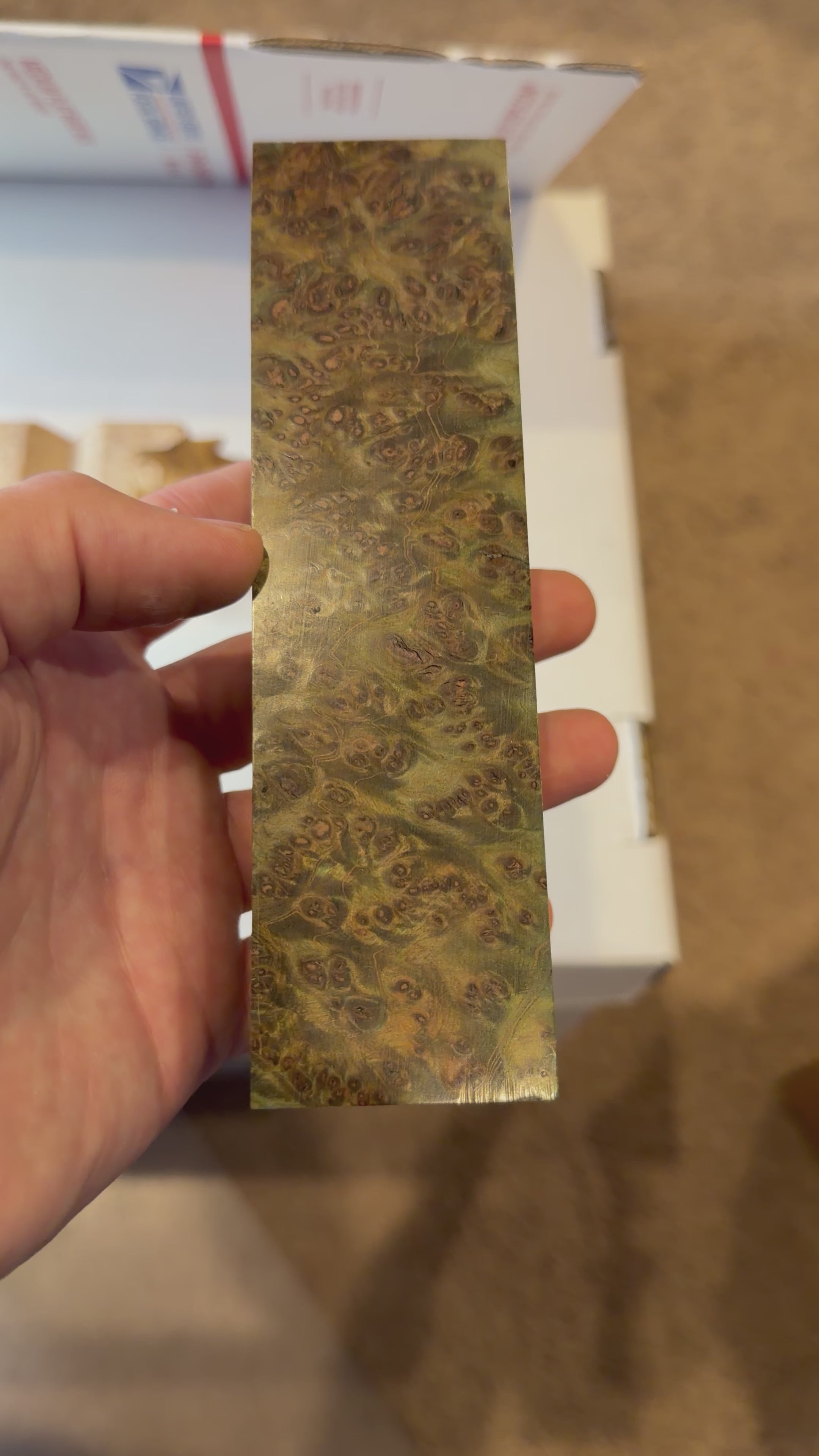 Redwood Burl | #0281