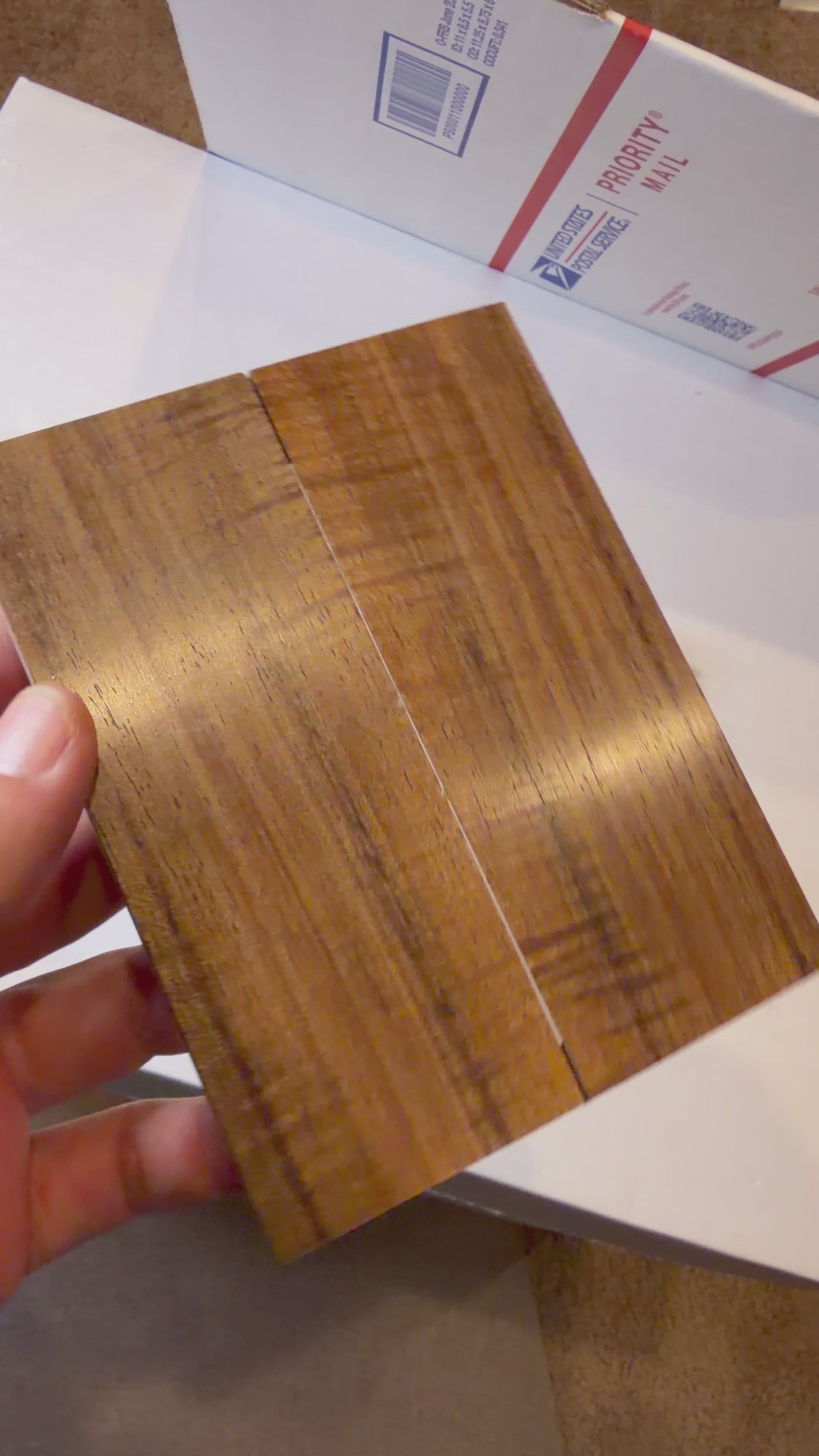 Tasmanian Blackwood | #0518