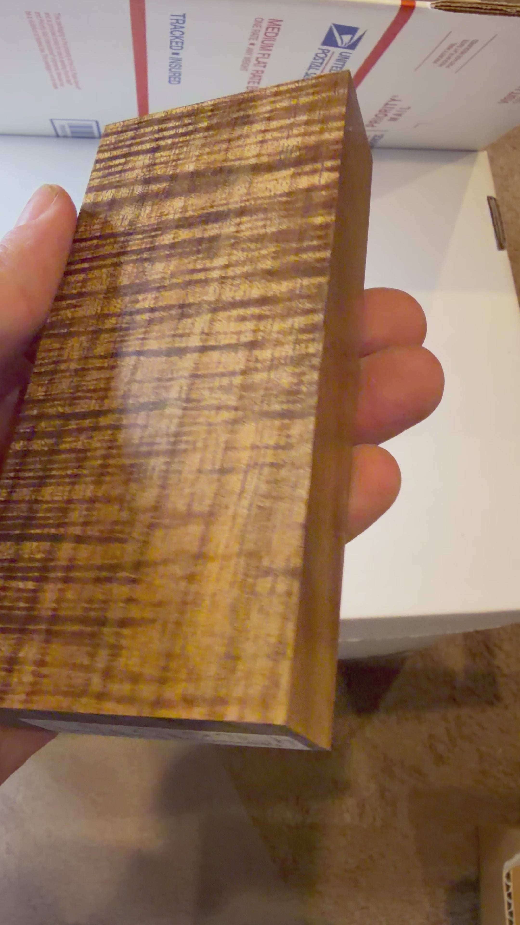 Tasmanian Blackwood | #0360