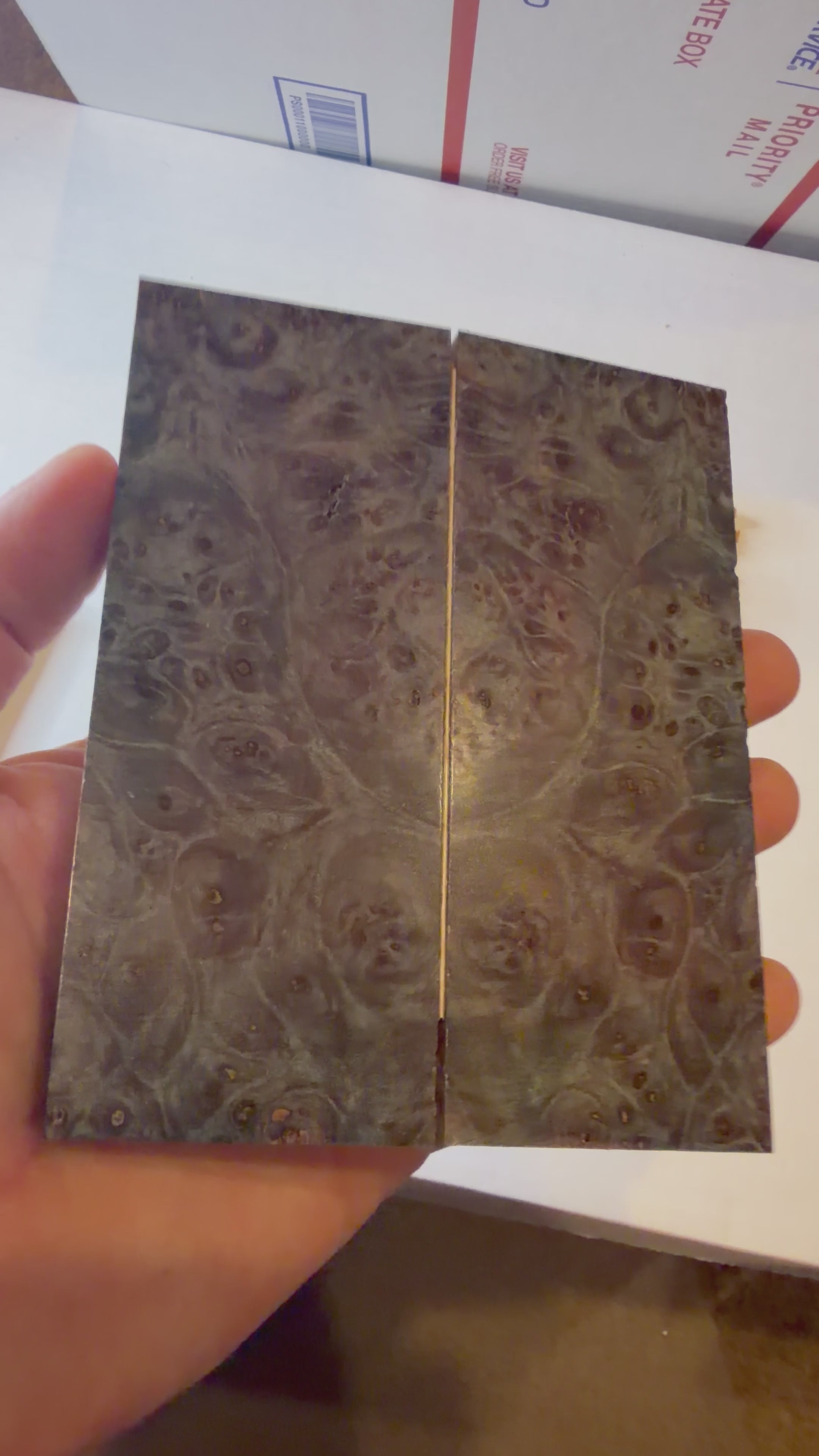 Maple Burl | #0600