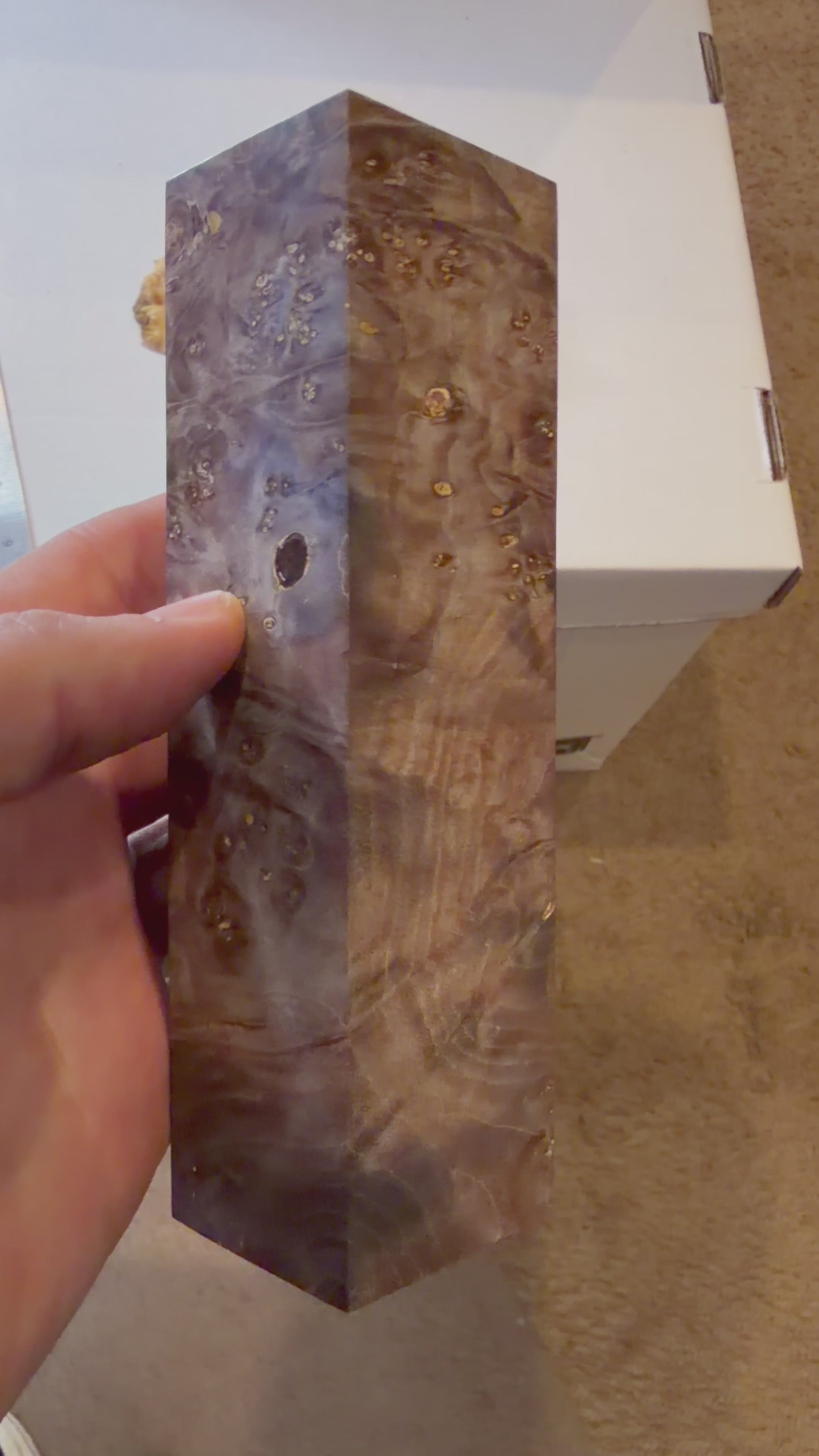 Boxedler Burl | #0277