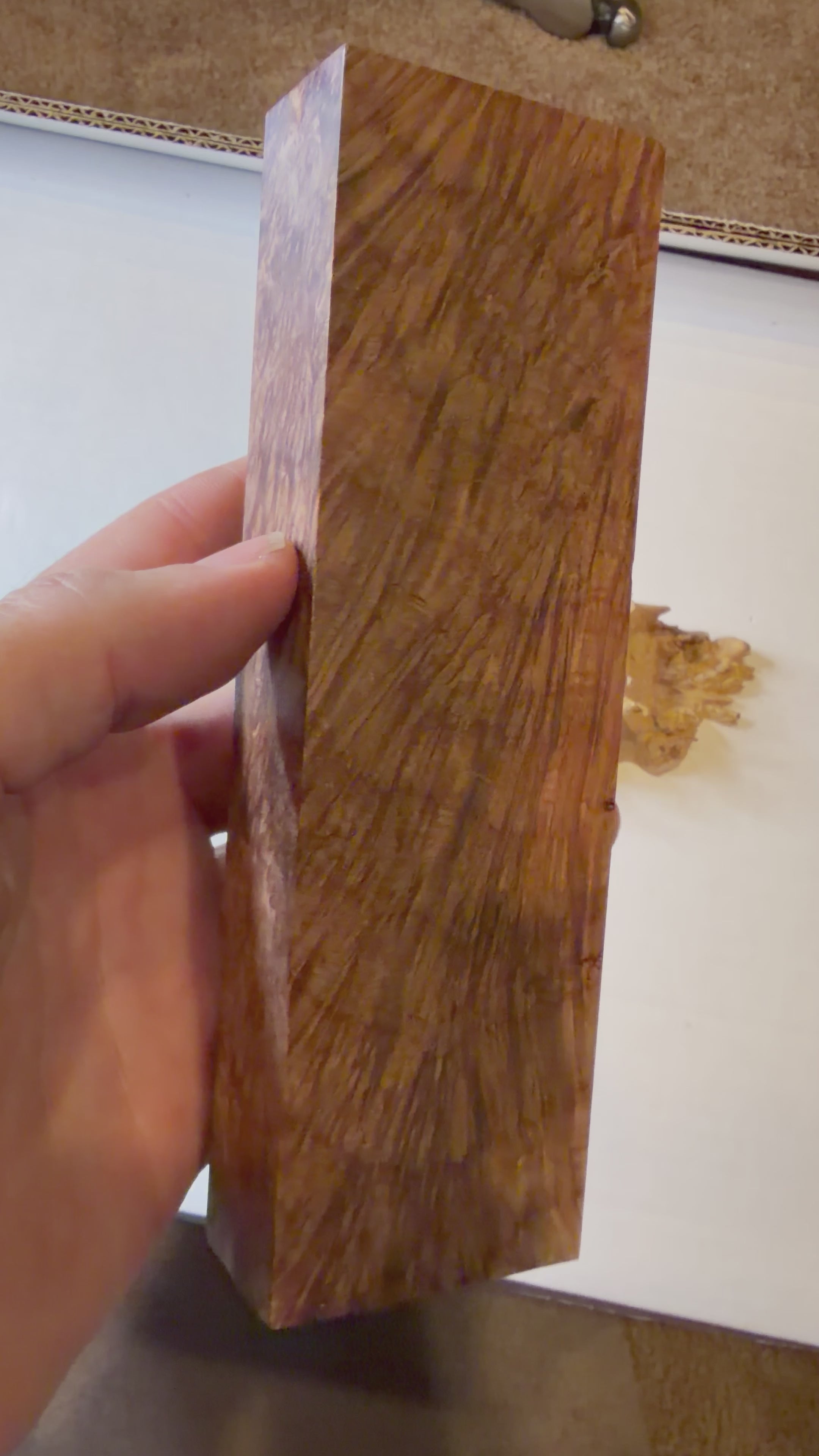 Redwood | #0383
