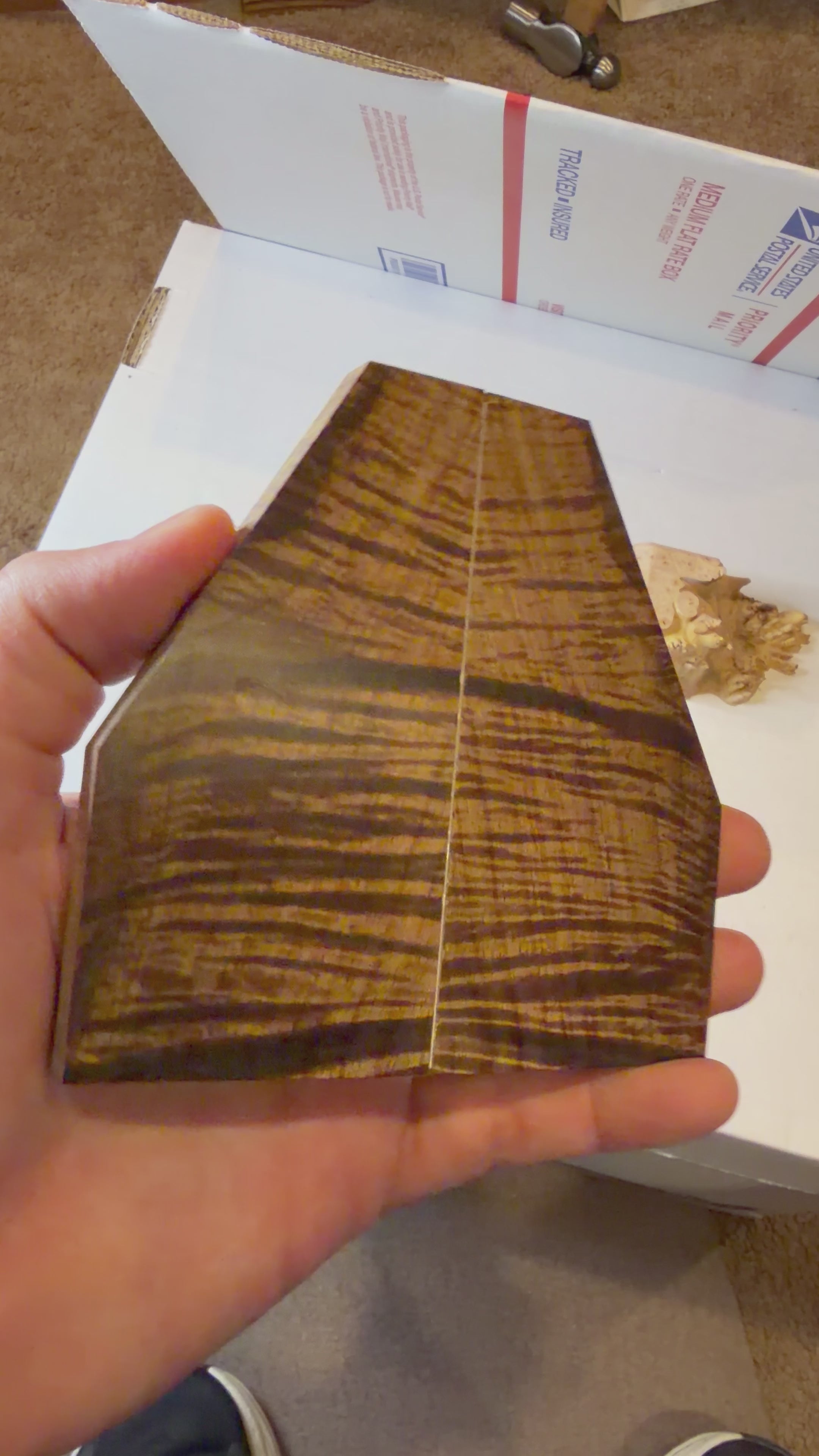 Tasmanian Blackwood | #0494