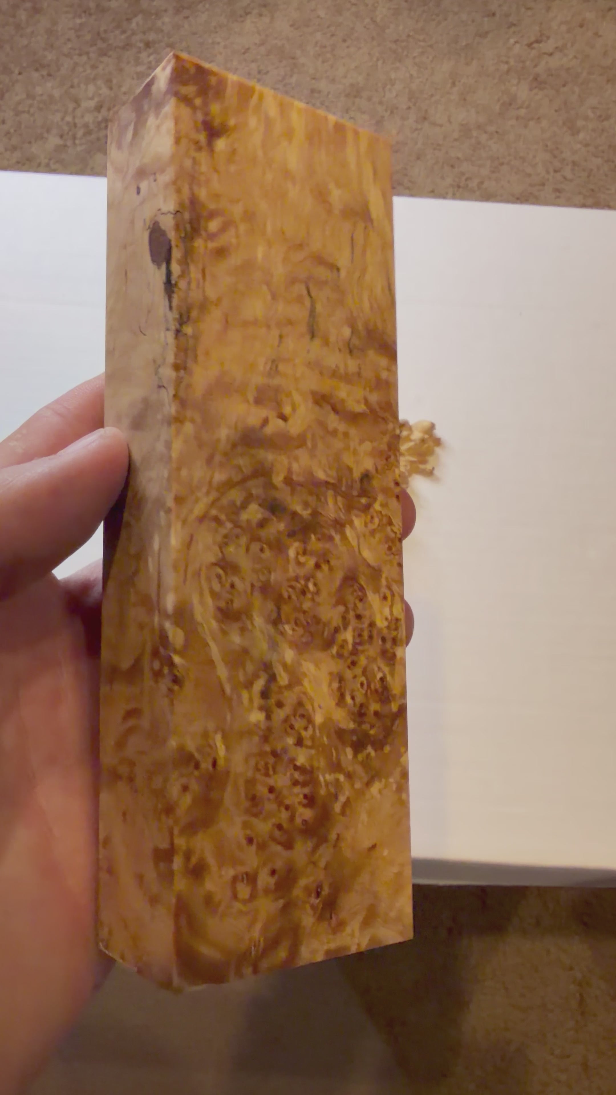 Birch Burl | #0216