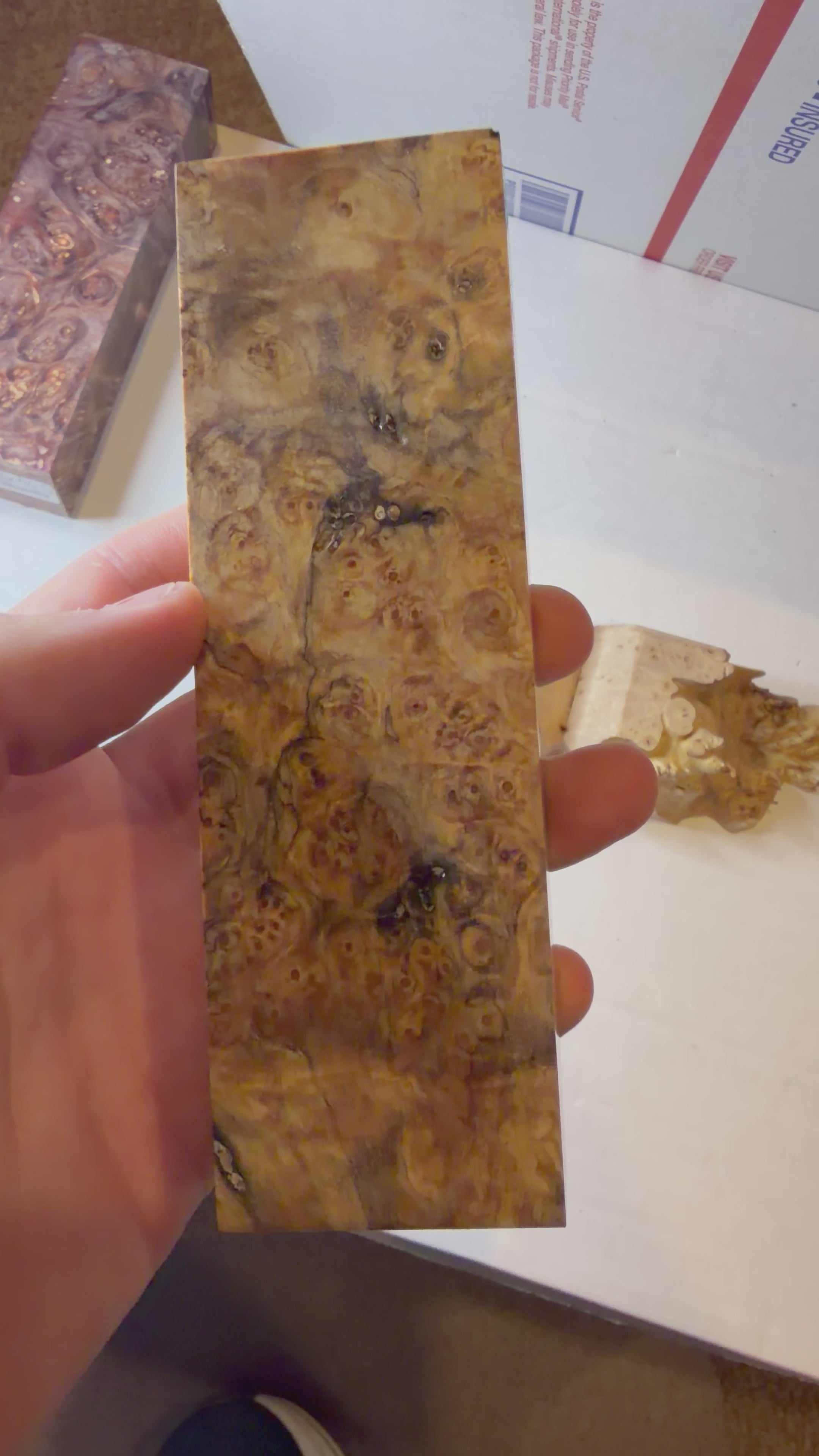 Birch Burl | #0628