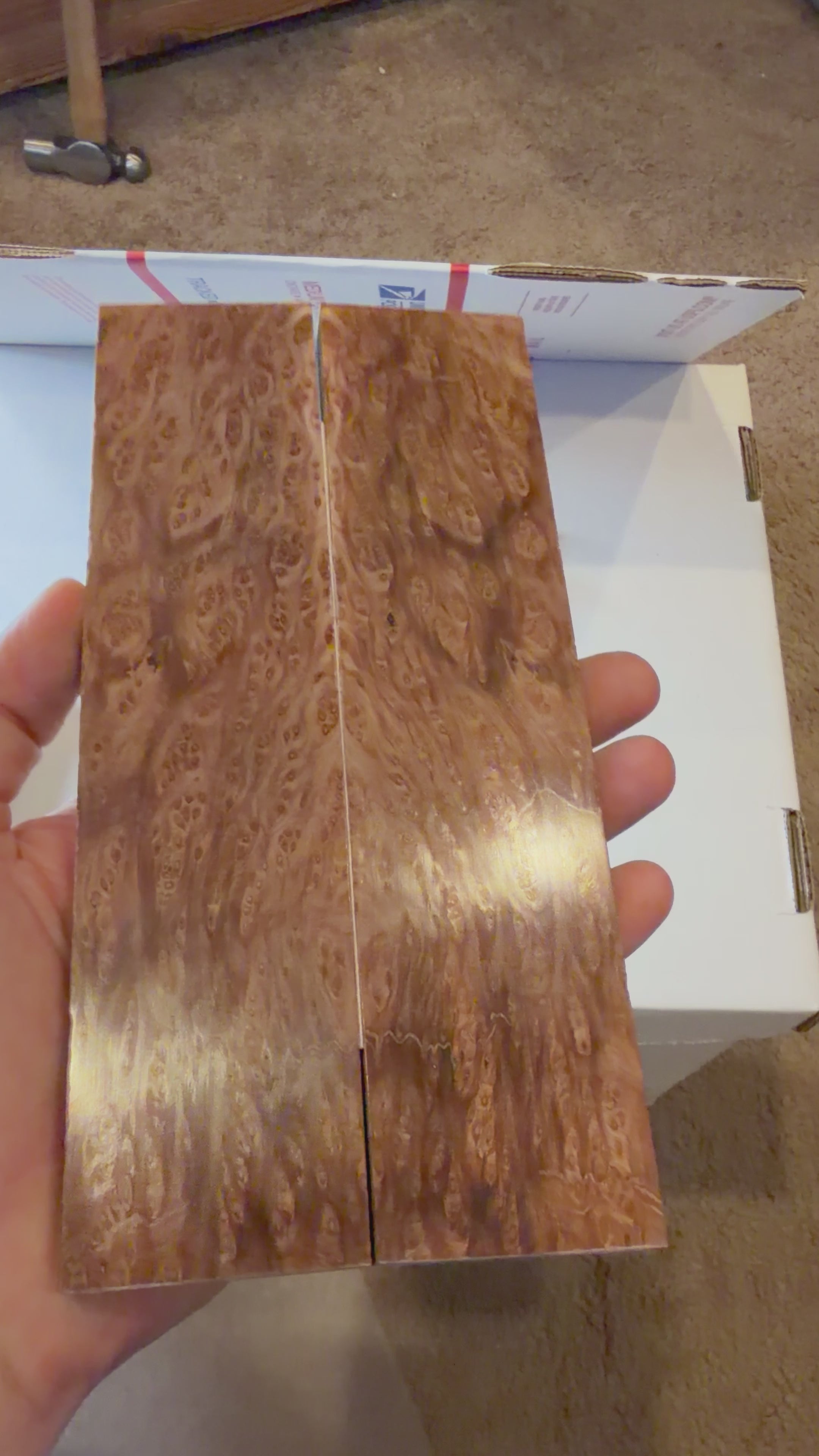 Redwood Burl | #0327