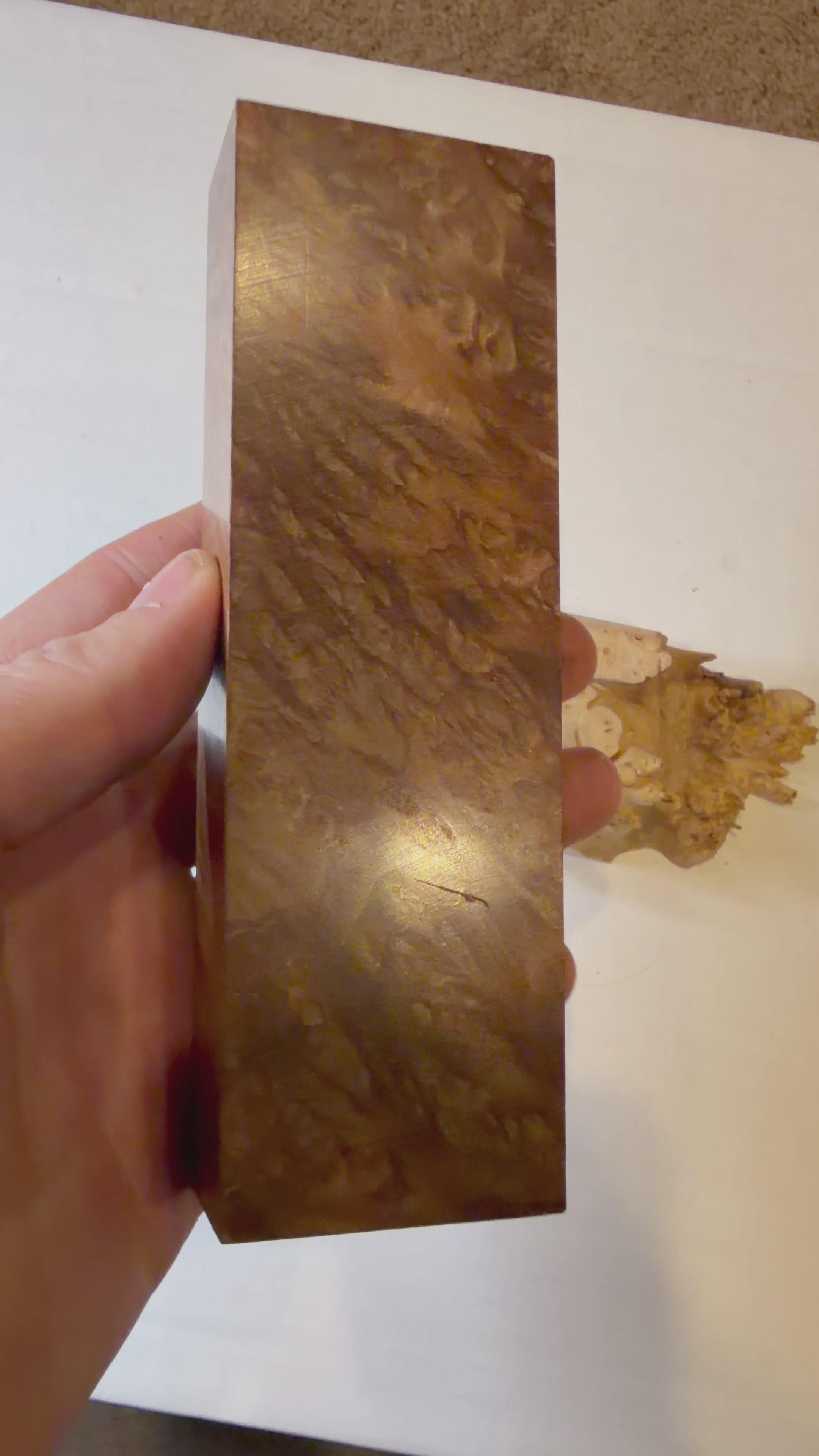 Redwood Burl | #0236