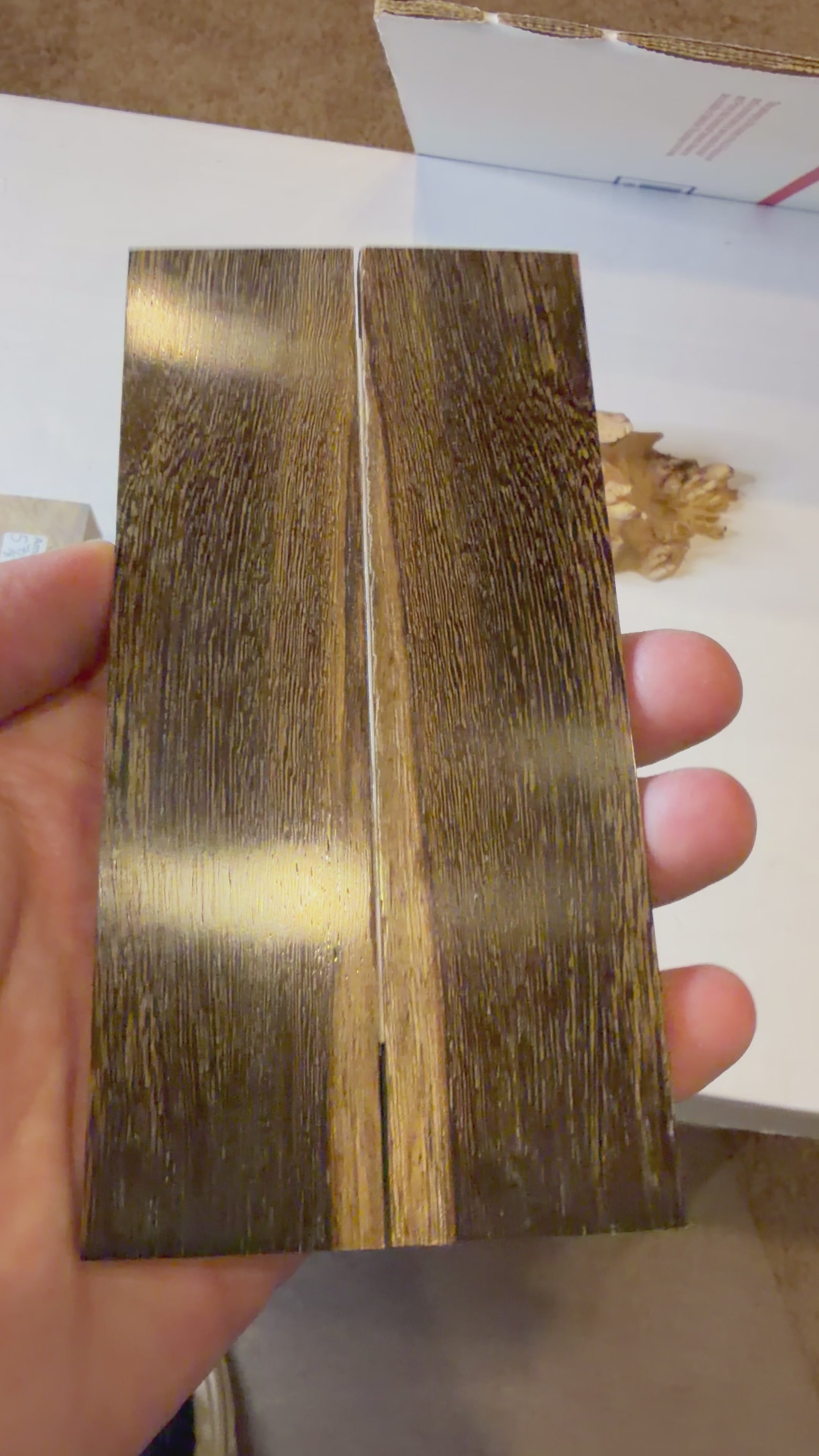 Pheasant Wood | #0485