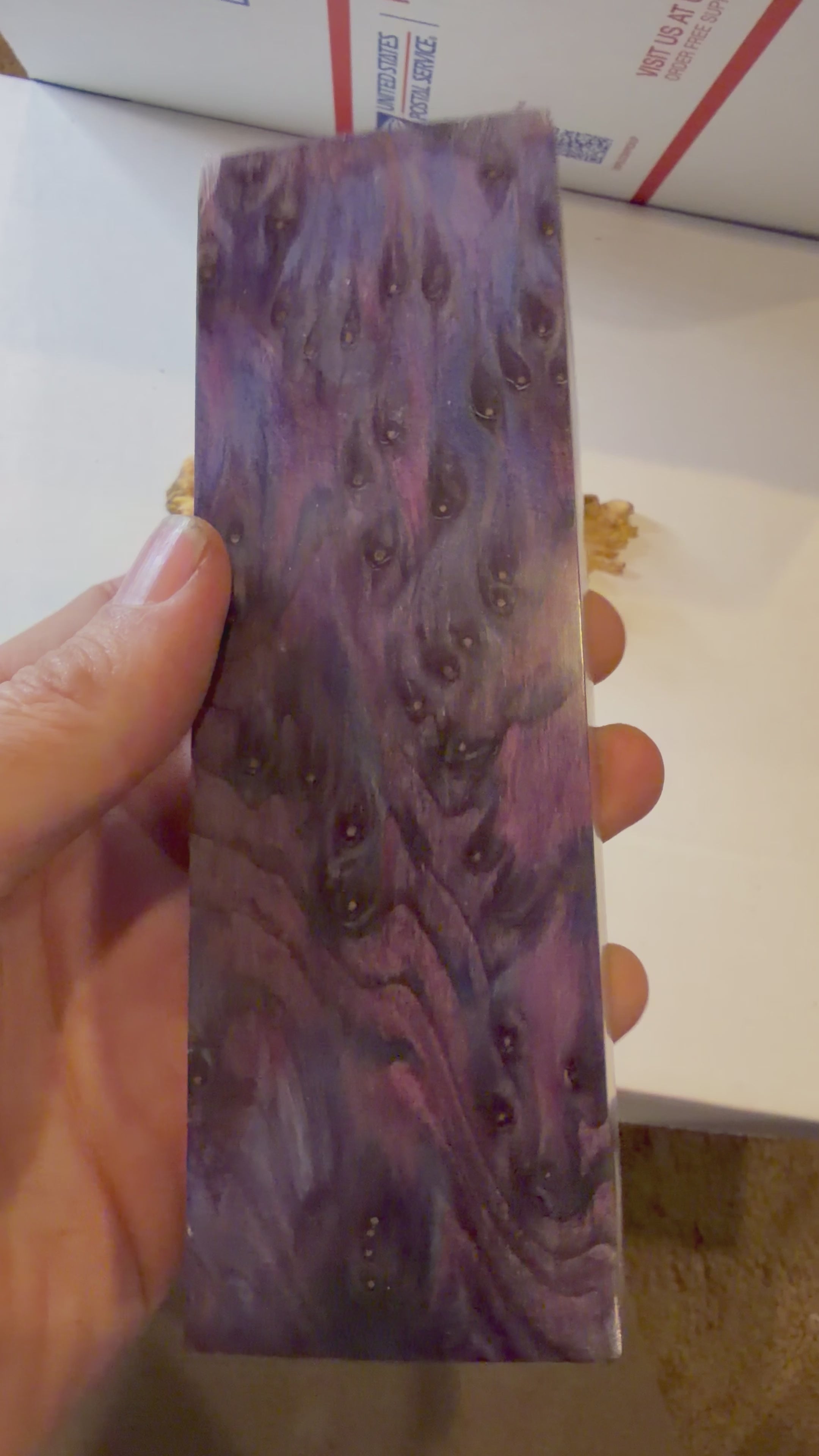 Redwood Burl | #0441