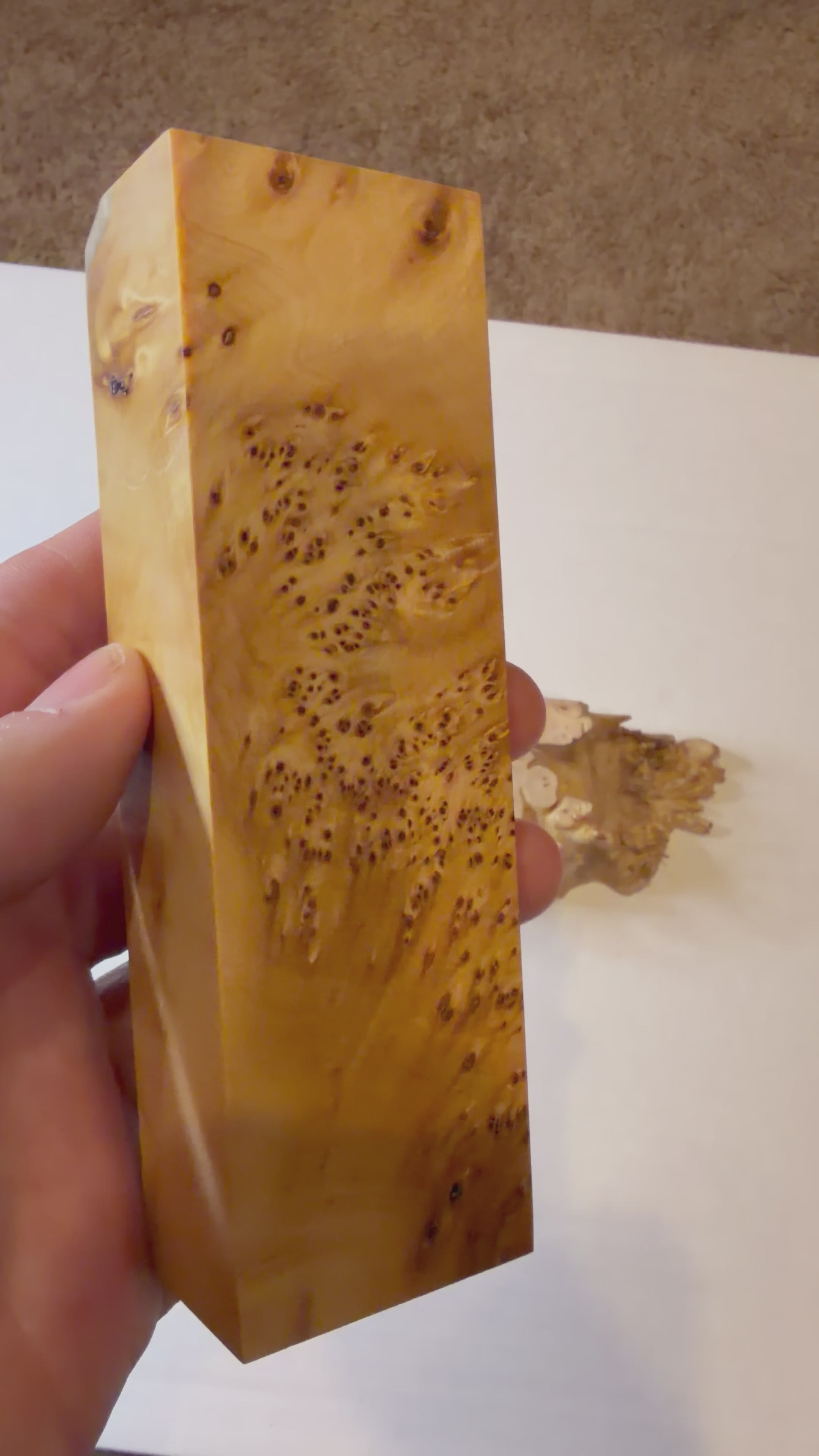 Yellow Cedar Burl | #0243