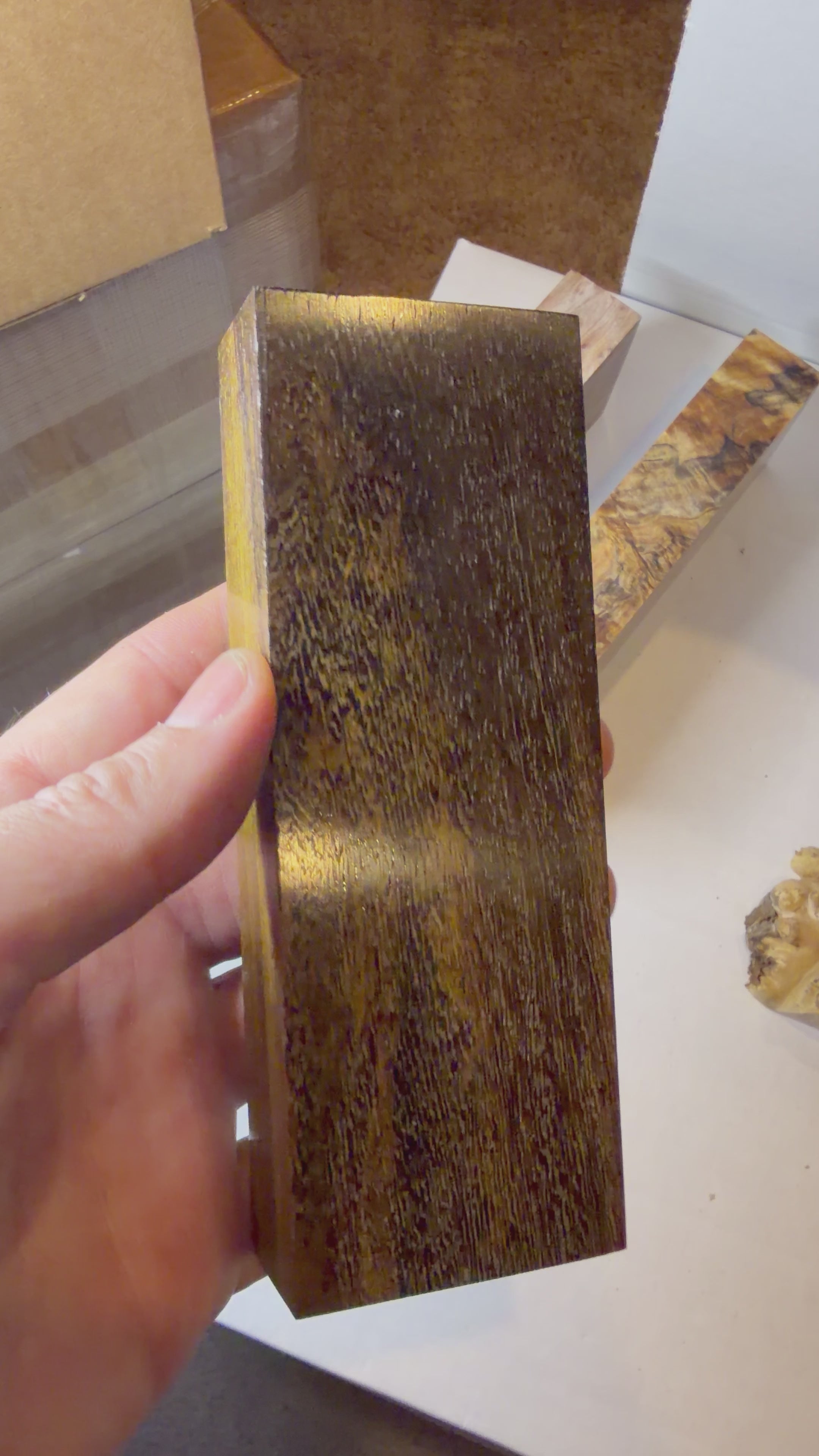 Pheasant Wood | #0592
