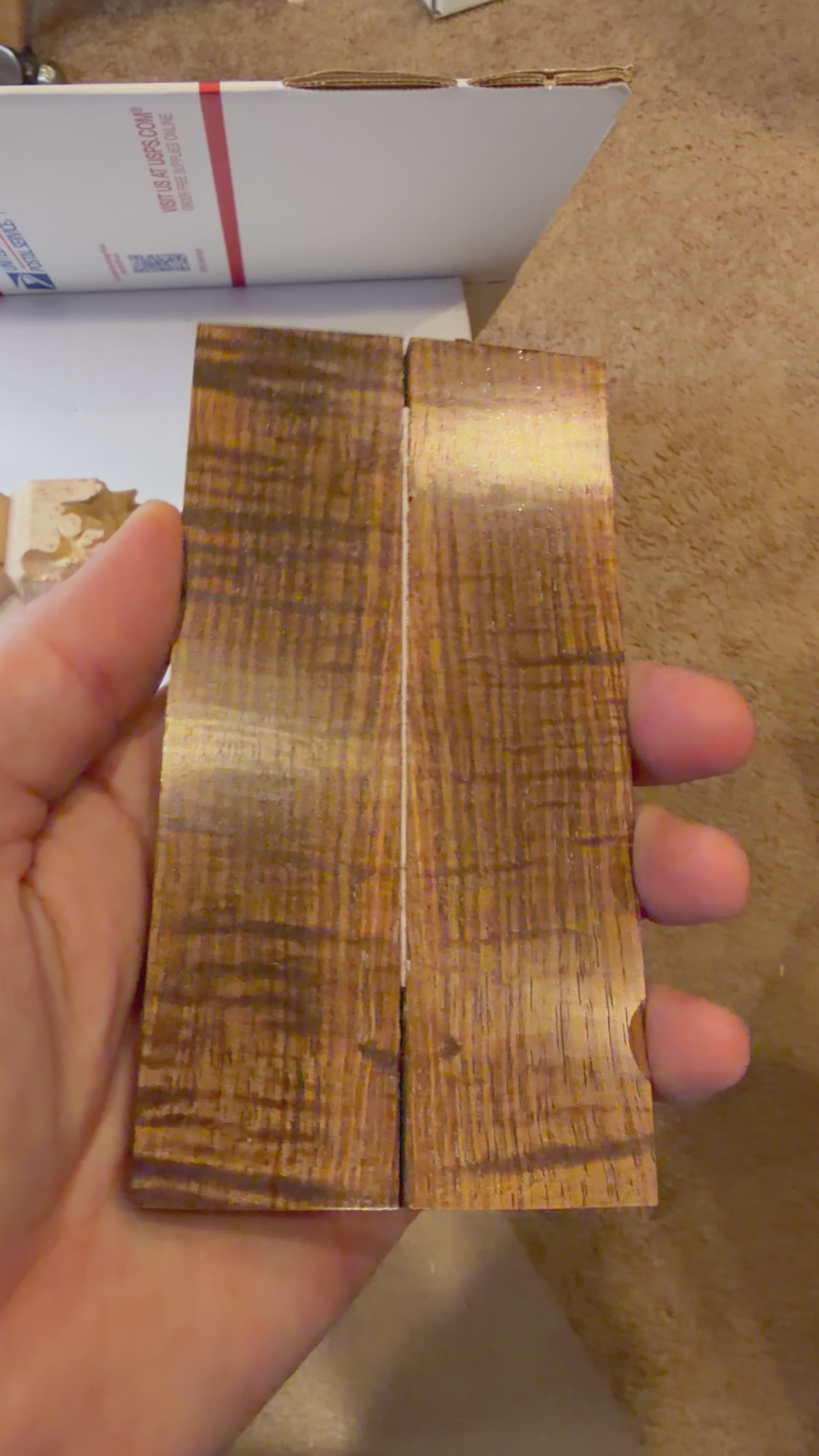 Tasmanian Blackwood | #0449