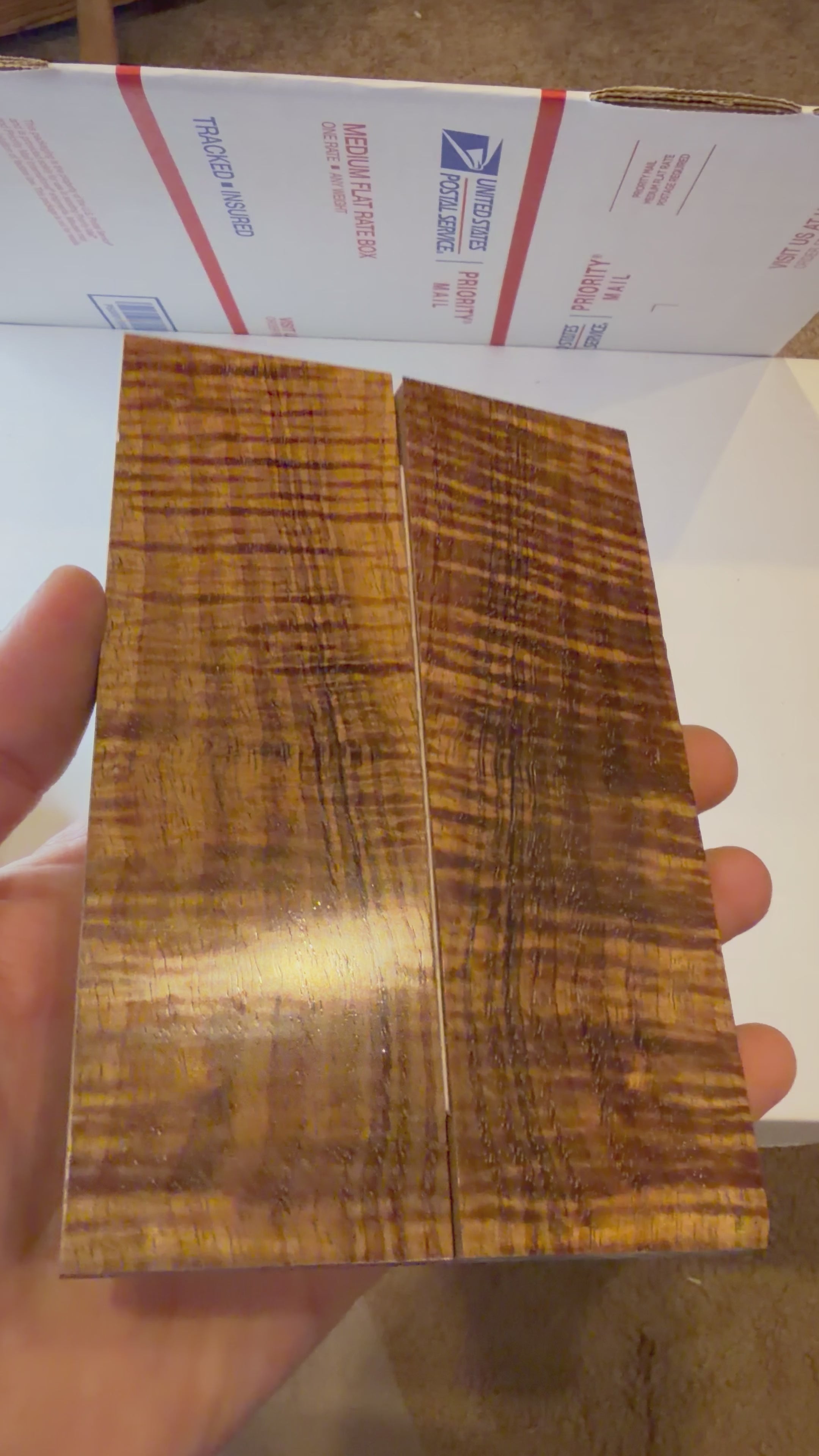Tasmanian Blackwood | #0317