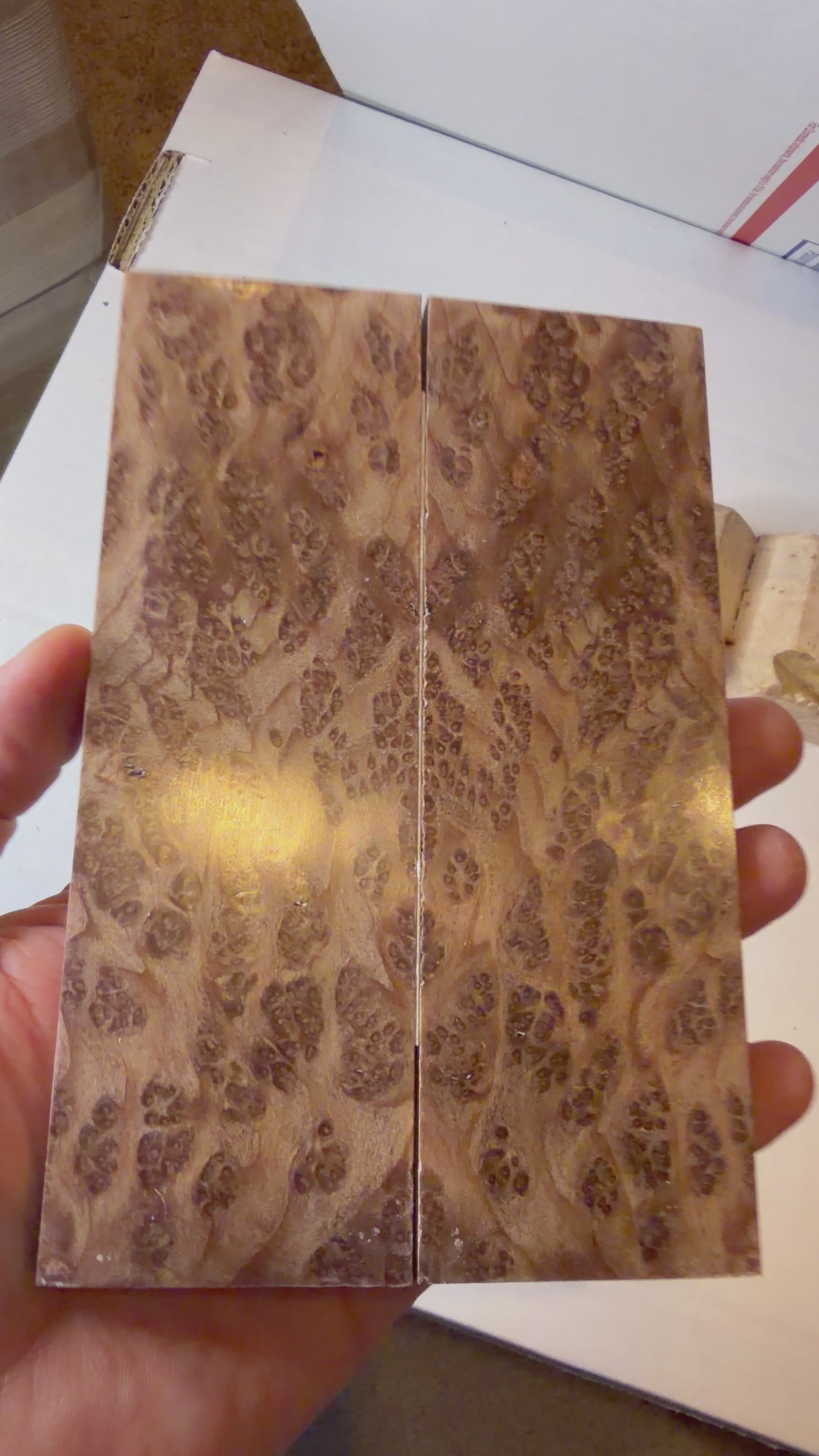 Redwood Burl | #0558