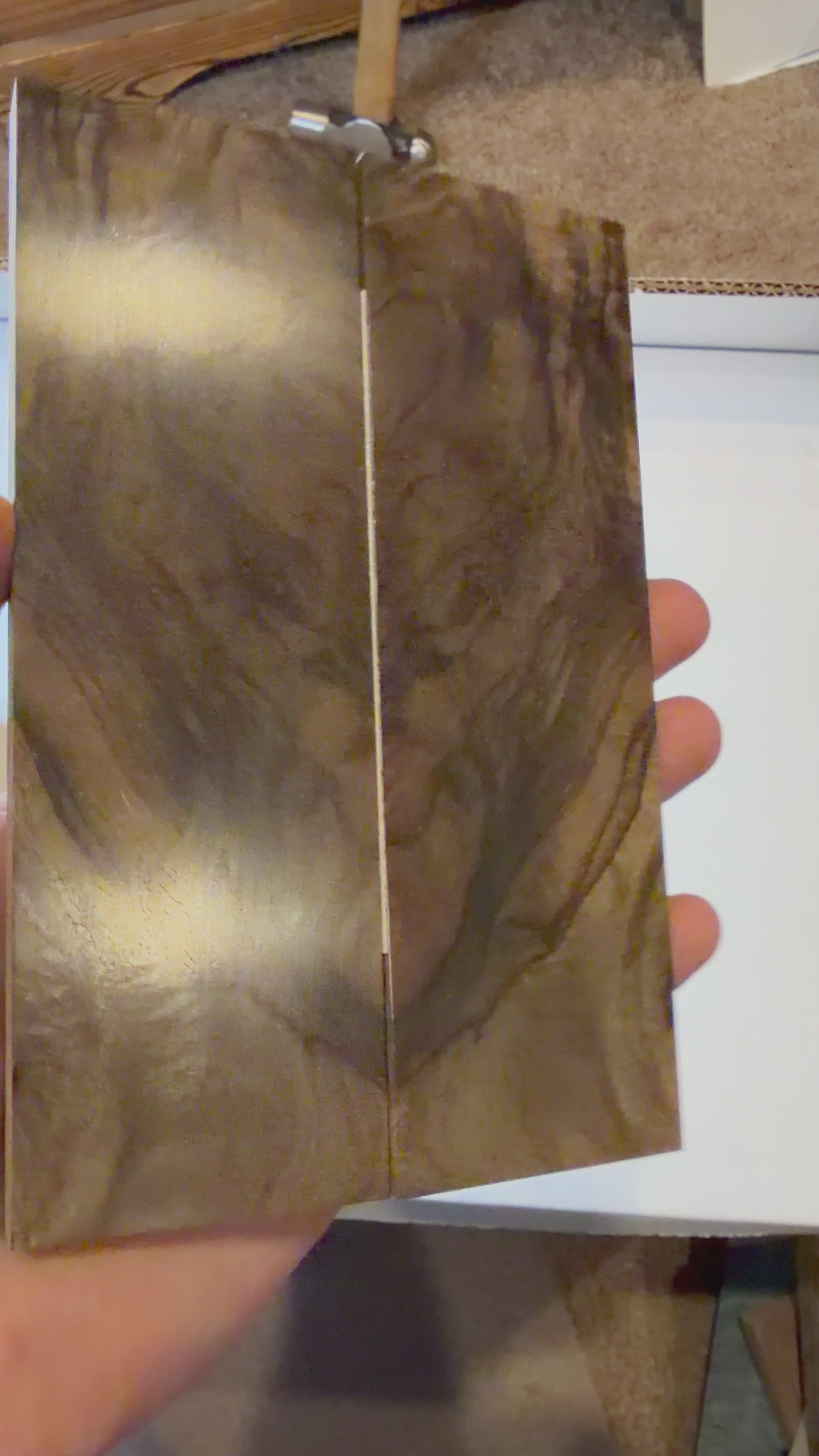 Turkish Walnut | #0396