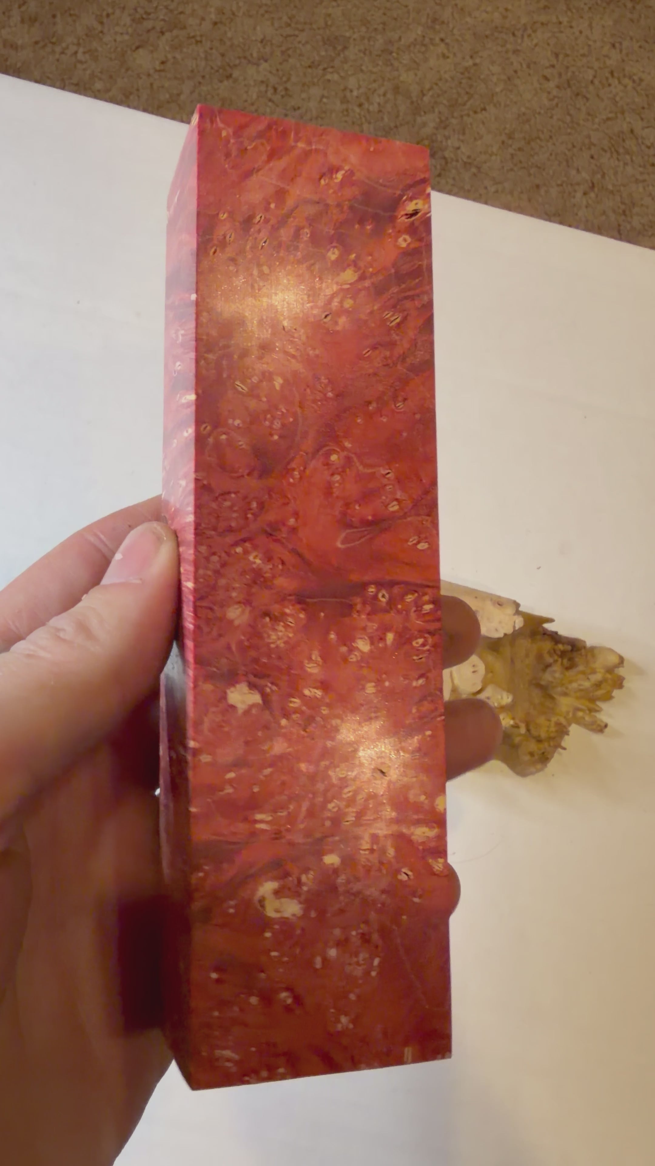 Boxelder Burl | #0235