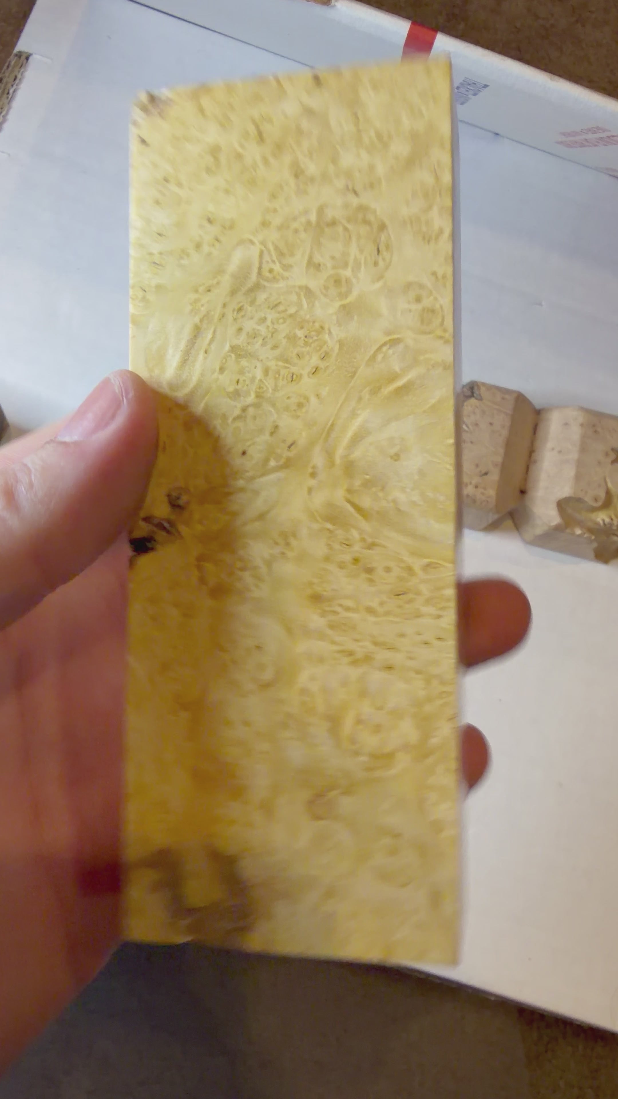 Boxelder Burl | #0539