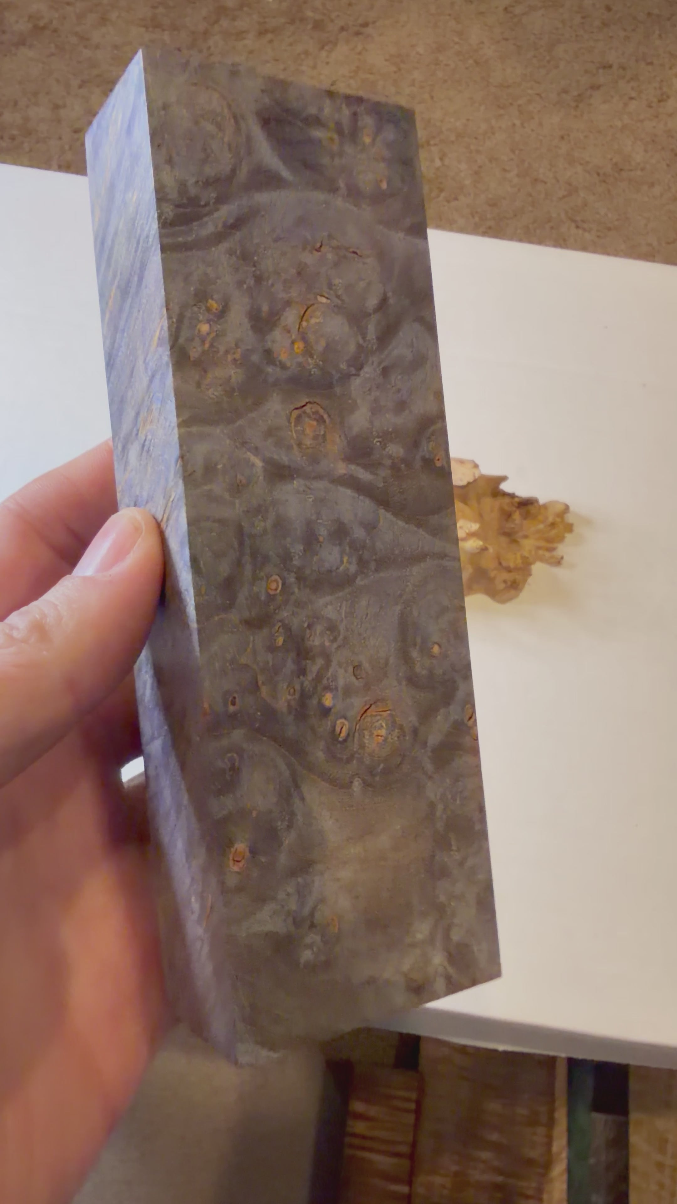Maple Burl | #0250