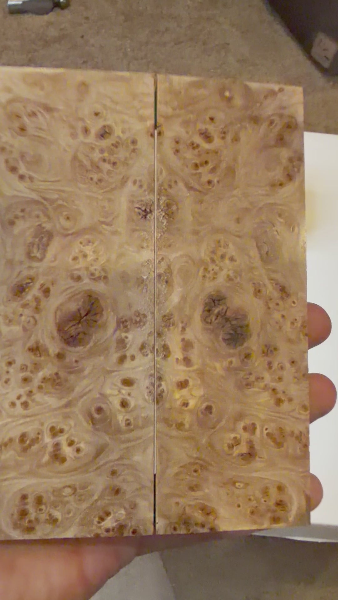 Elm Burl | #0104