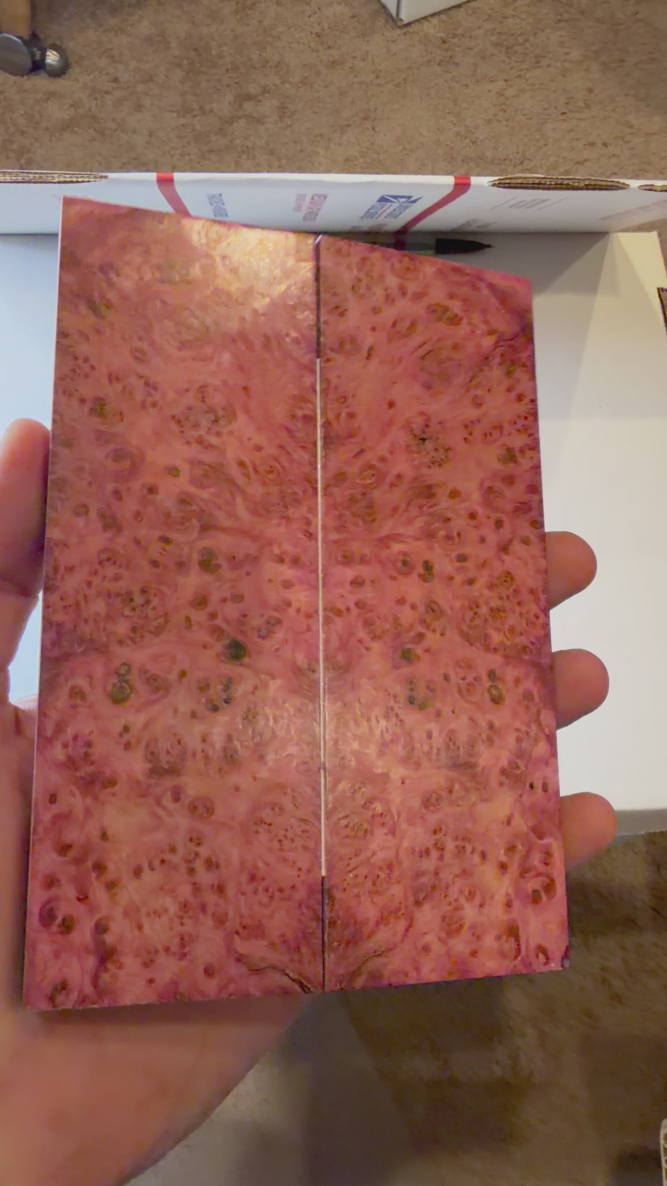Yellow Cedar Burl | #0352