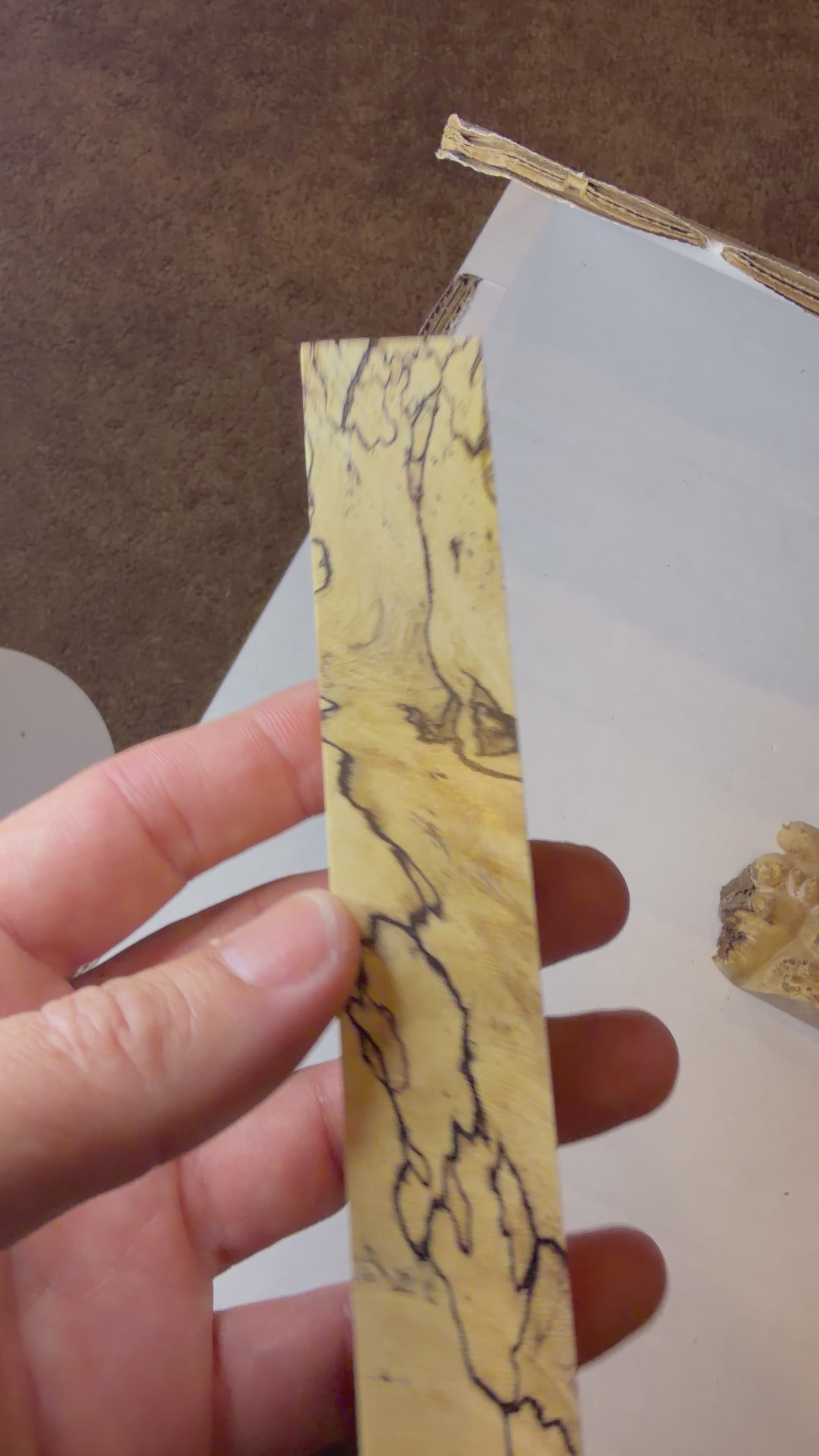 Hackberry | #0554