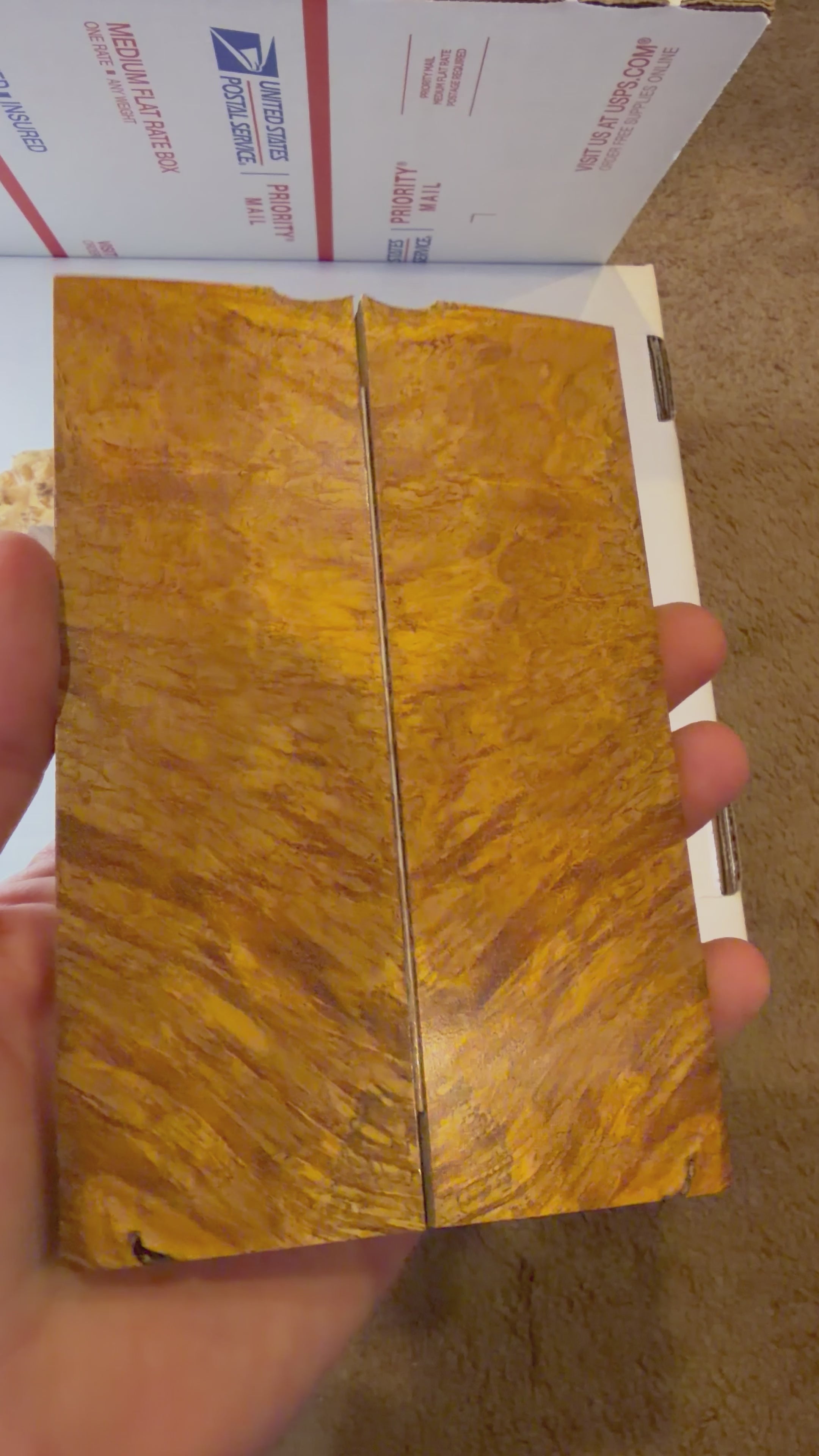 River Tamarind Burl | #0310