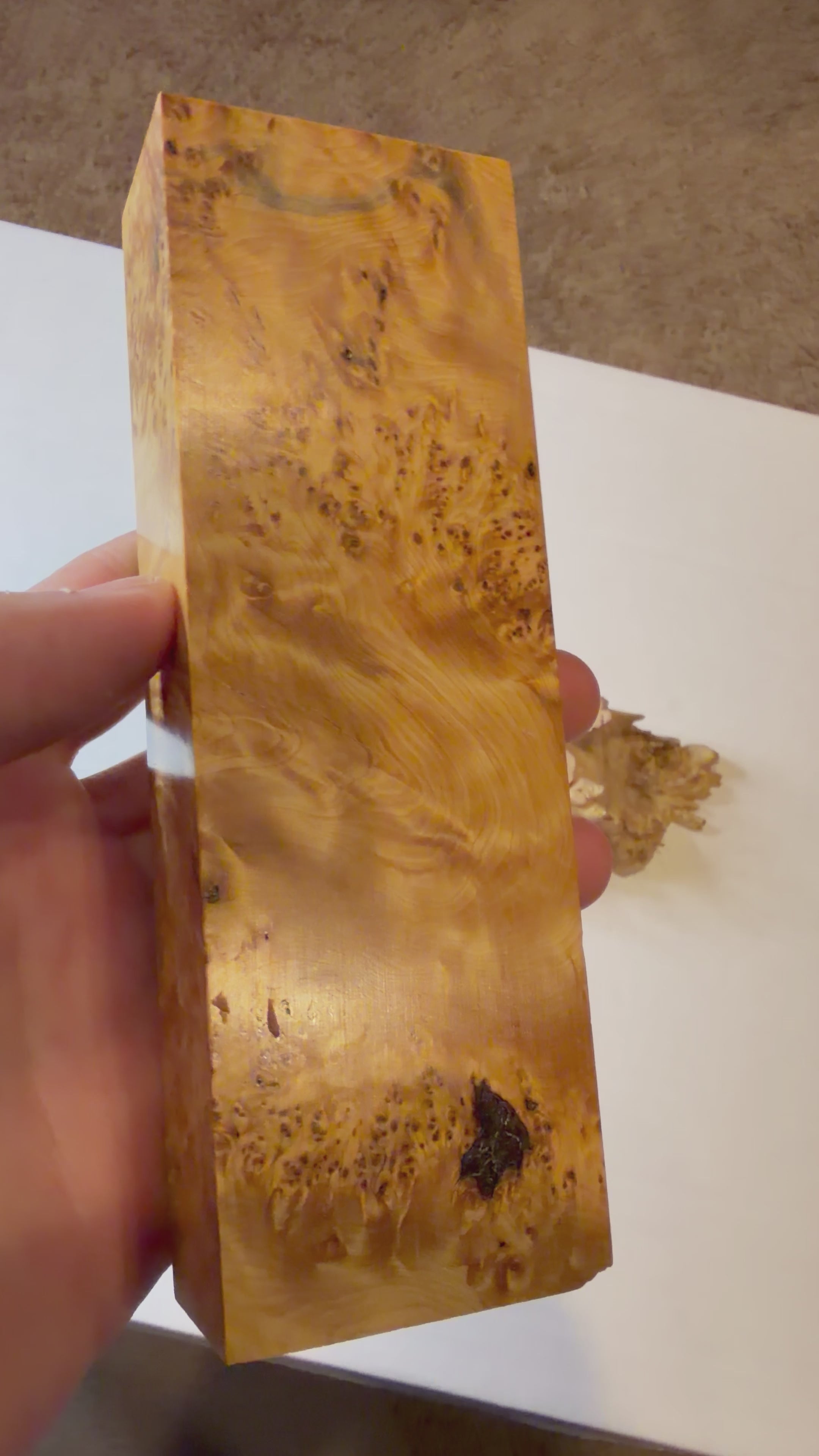 Yellow Cedar Burl | #0245