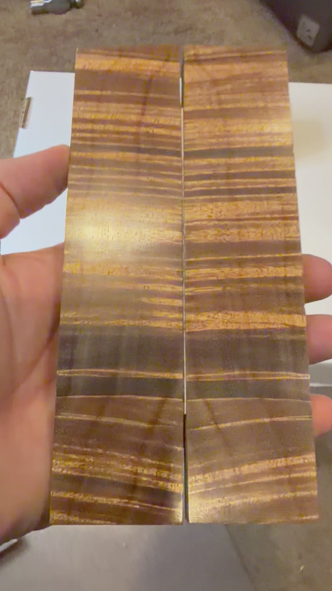 Tasmanian Blackwood | #0117