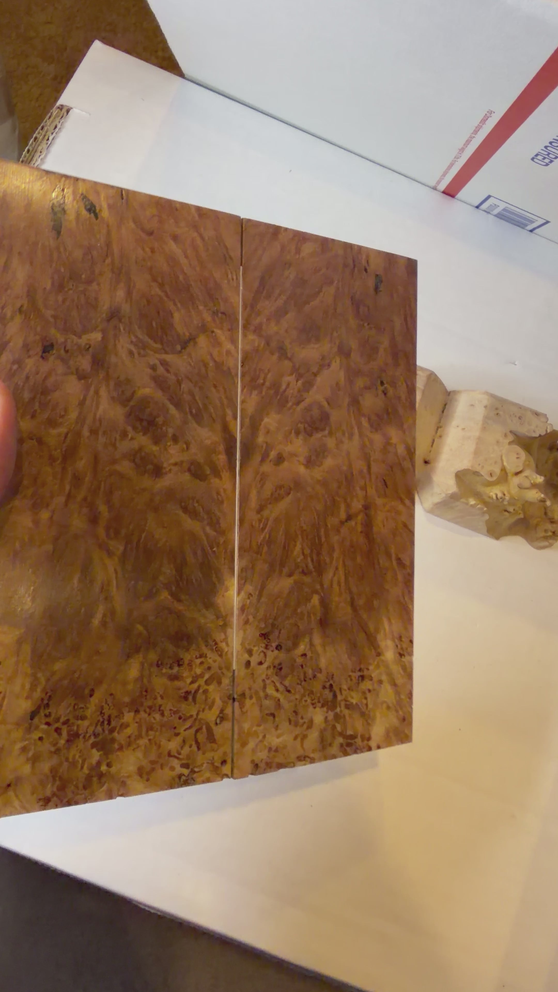 Redwood Burl | #0559