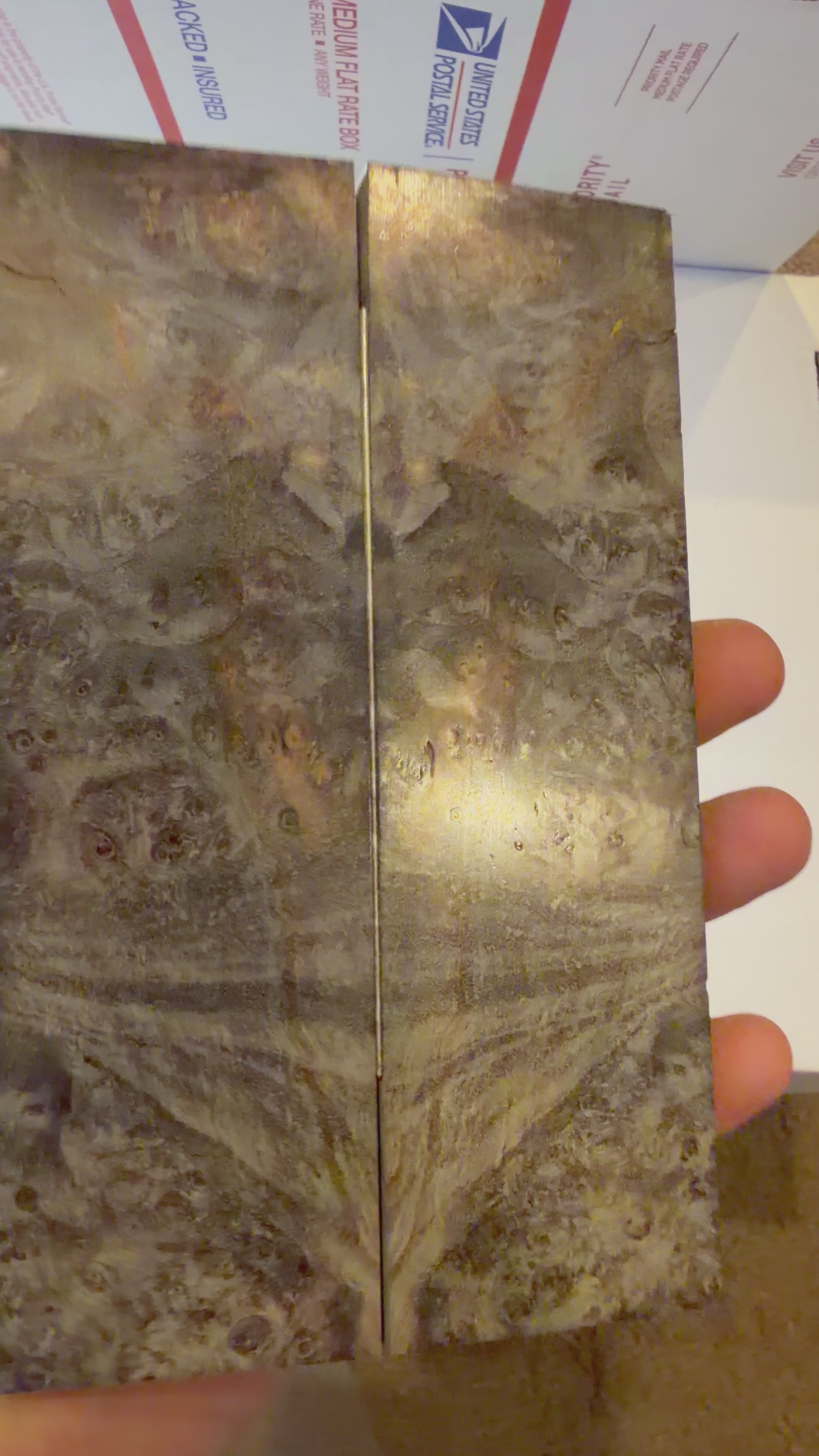Boxelder Burl | #0308