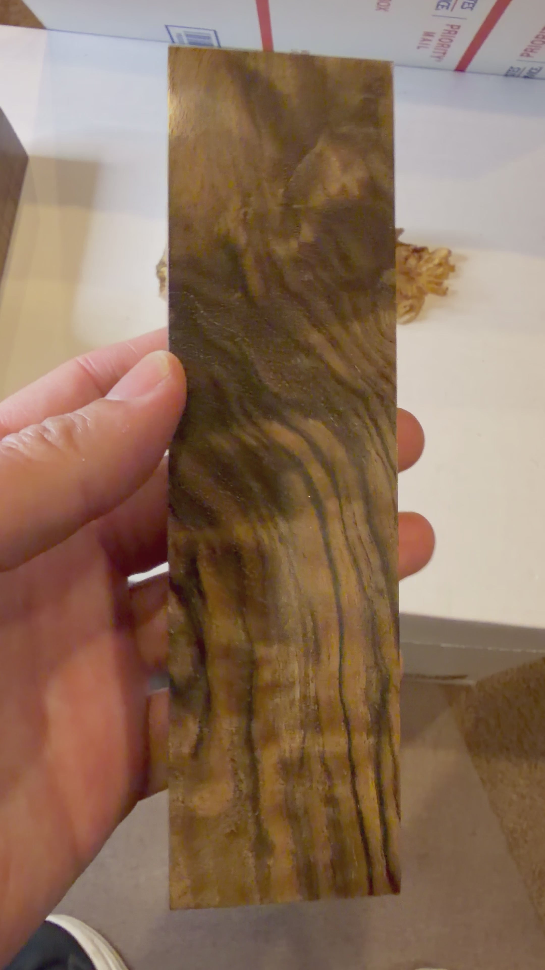 Turkish Walnut | #0508