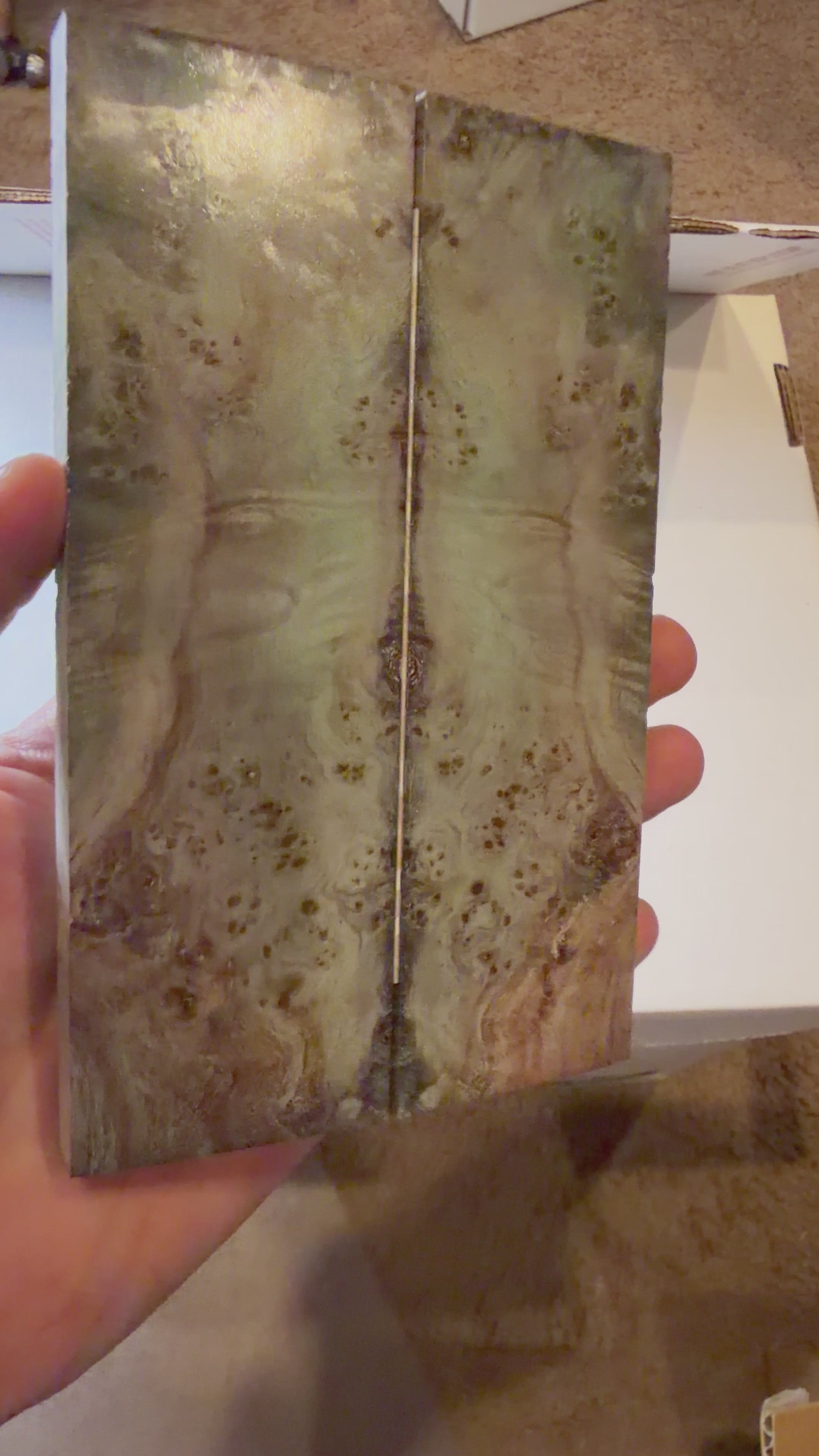 Boxelder Burl | # 0349