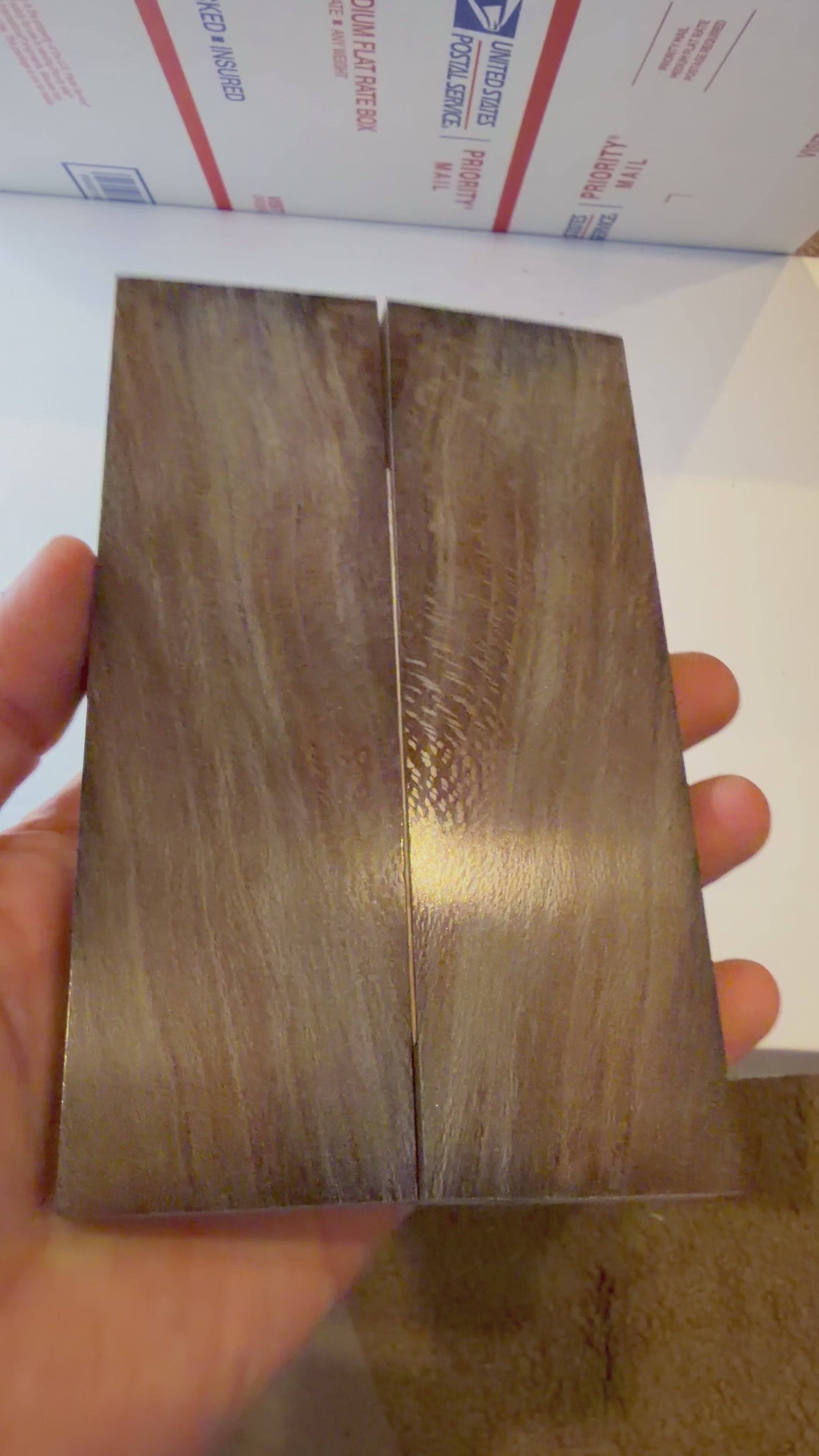 Sycamore | #0309