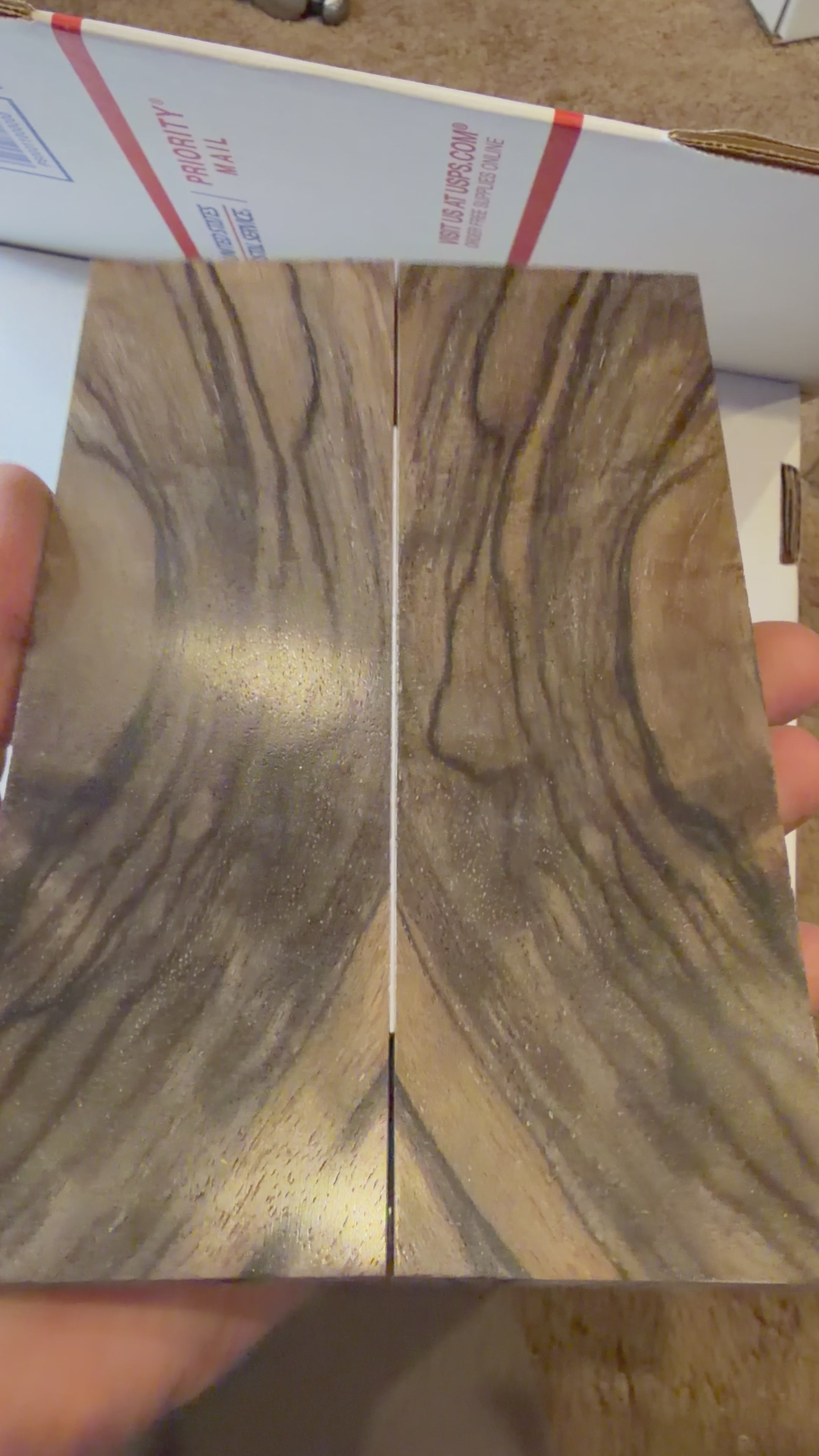 Turkish Walnut | #0442