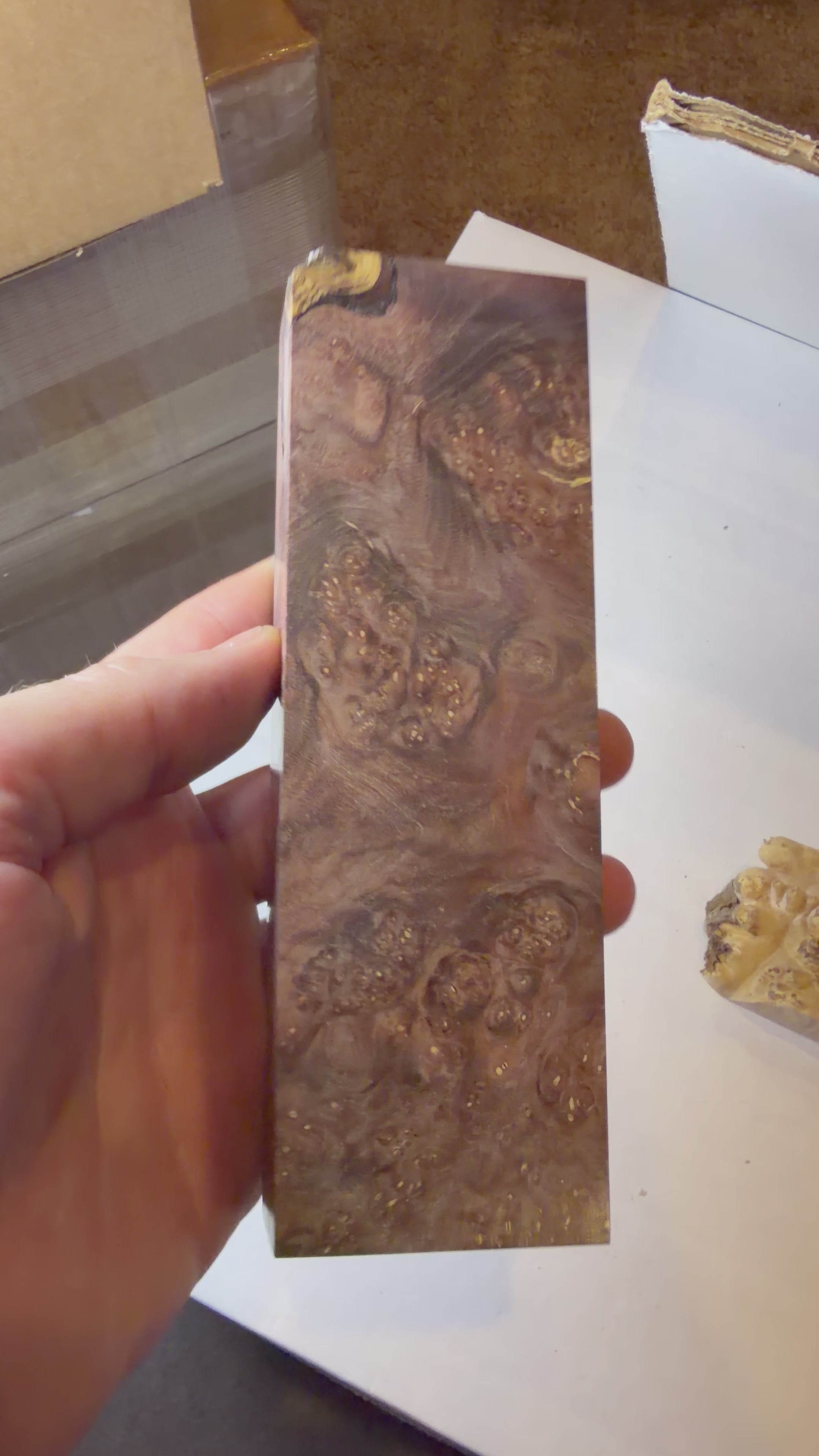 Boxelder Burl | #0587