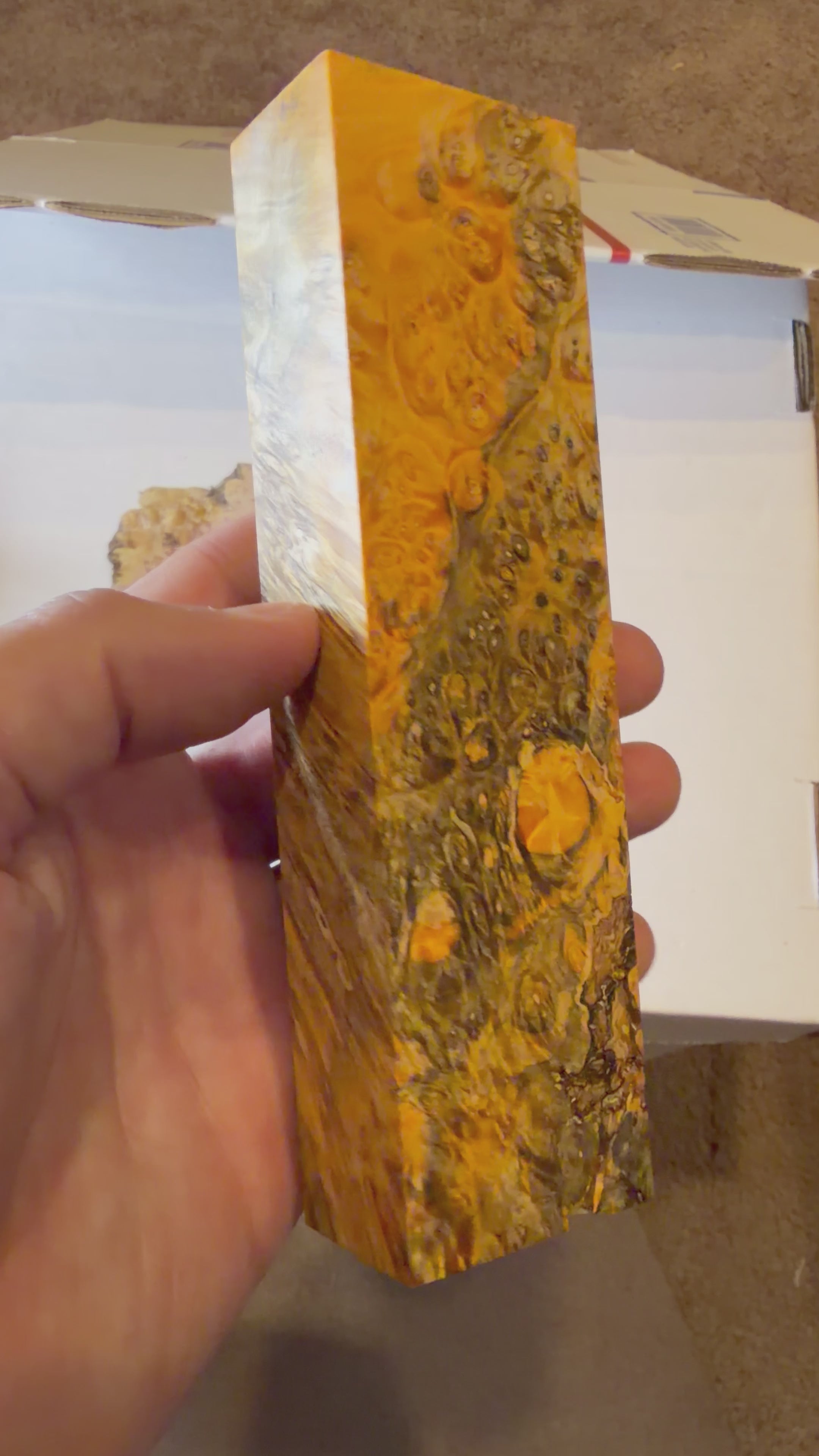 Boxelder Burl | #0532