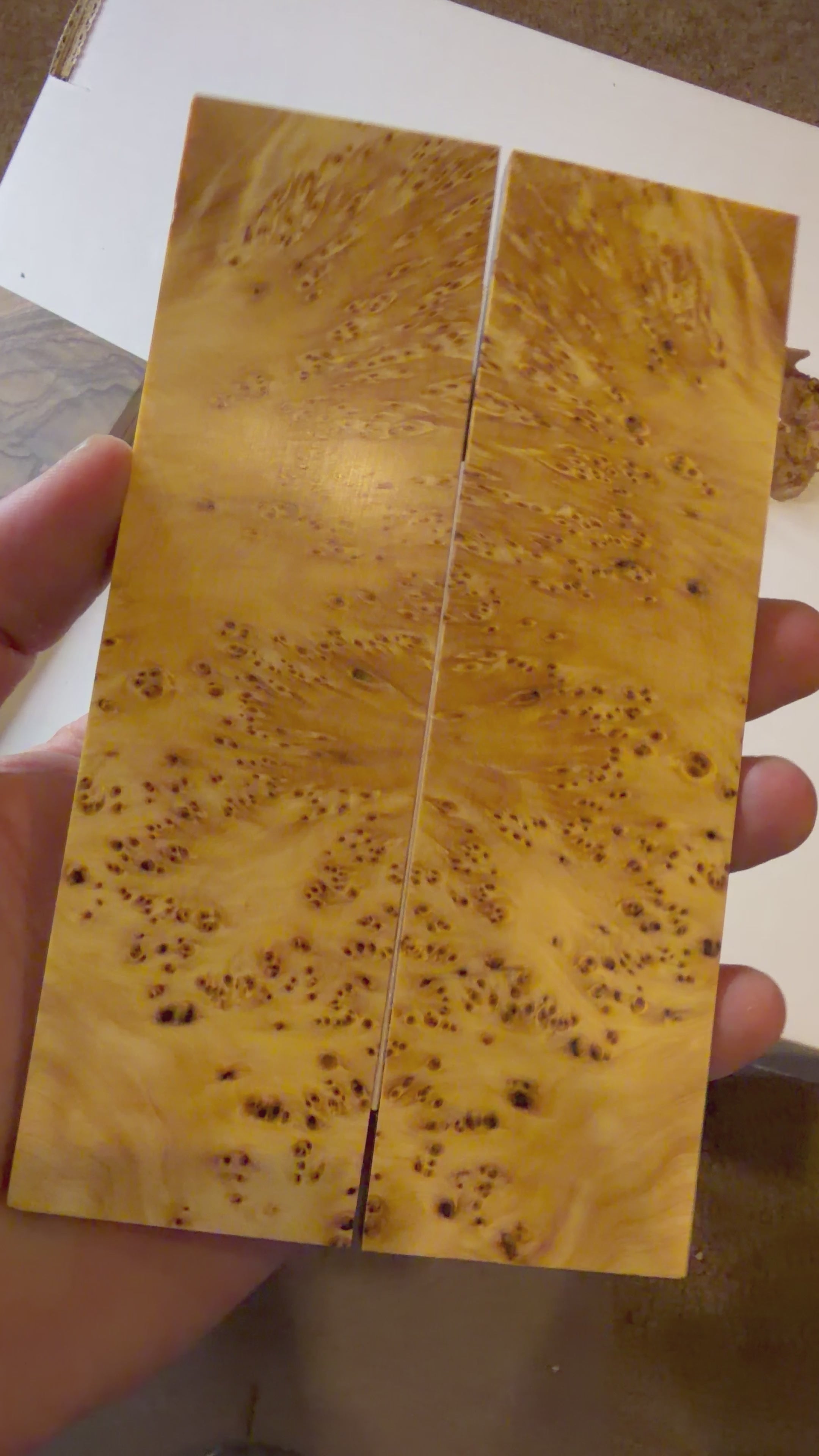 Yellow Cedar Burl | #0402