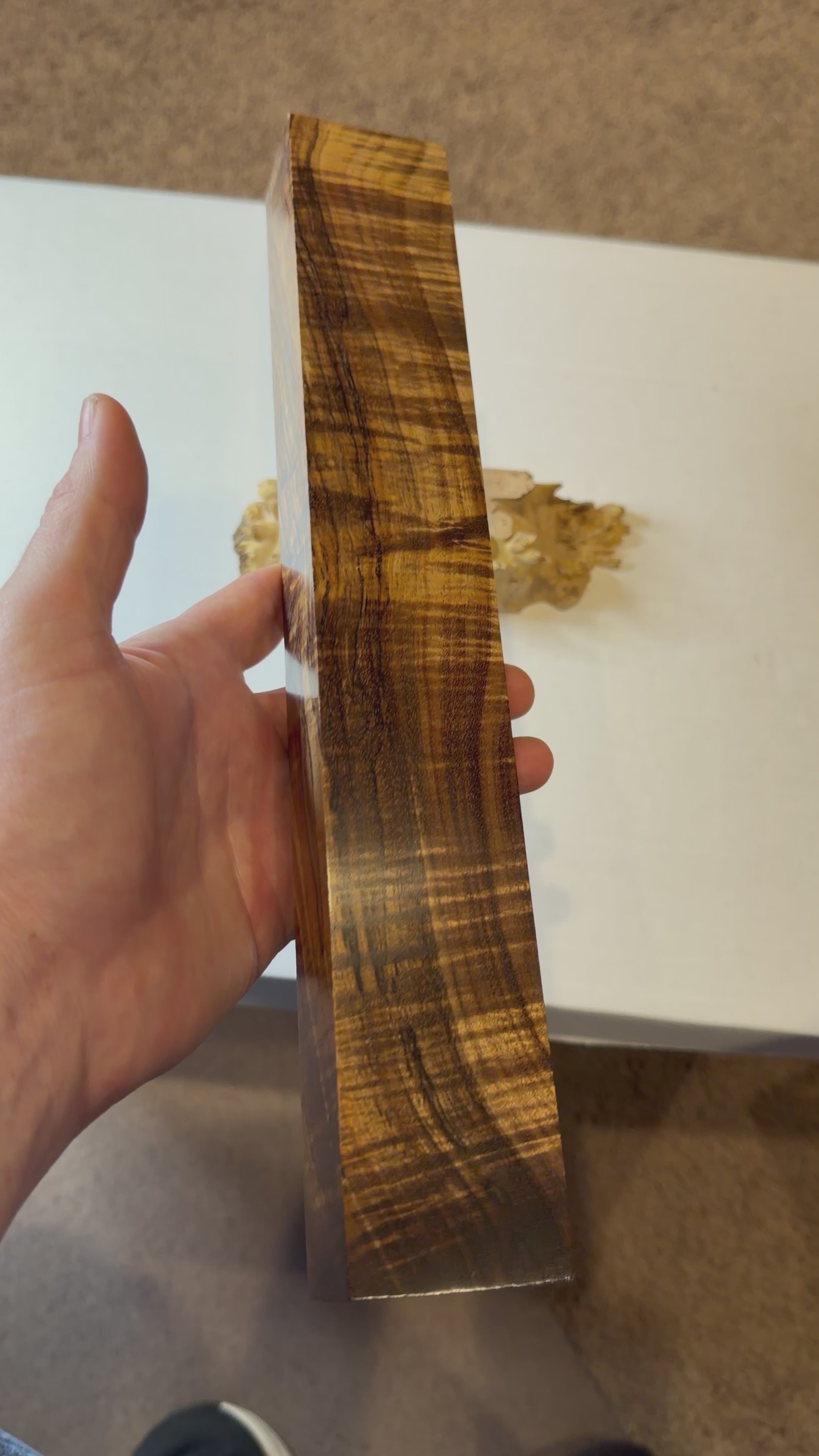 Tasmanian Blackwood | #0239