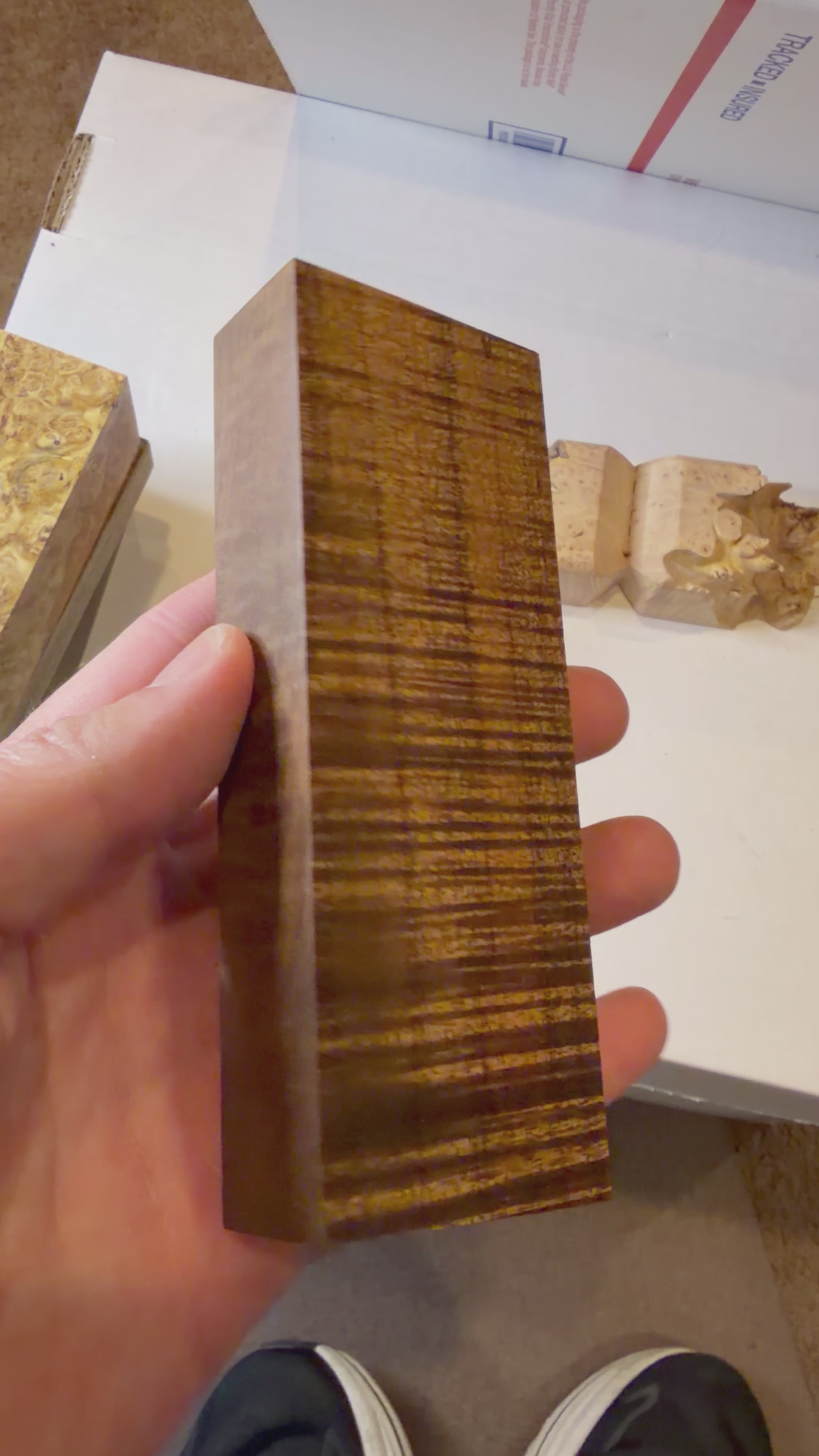 Tasmanian Blackwood | #0499