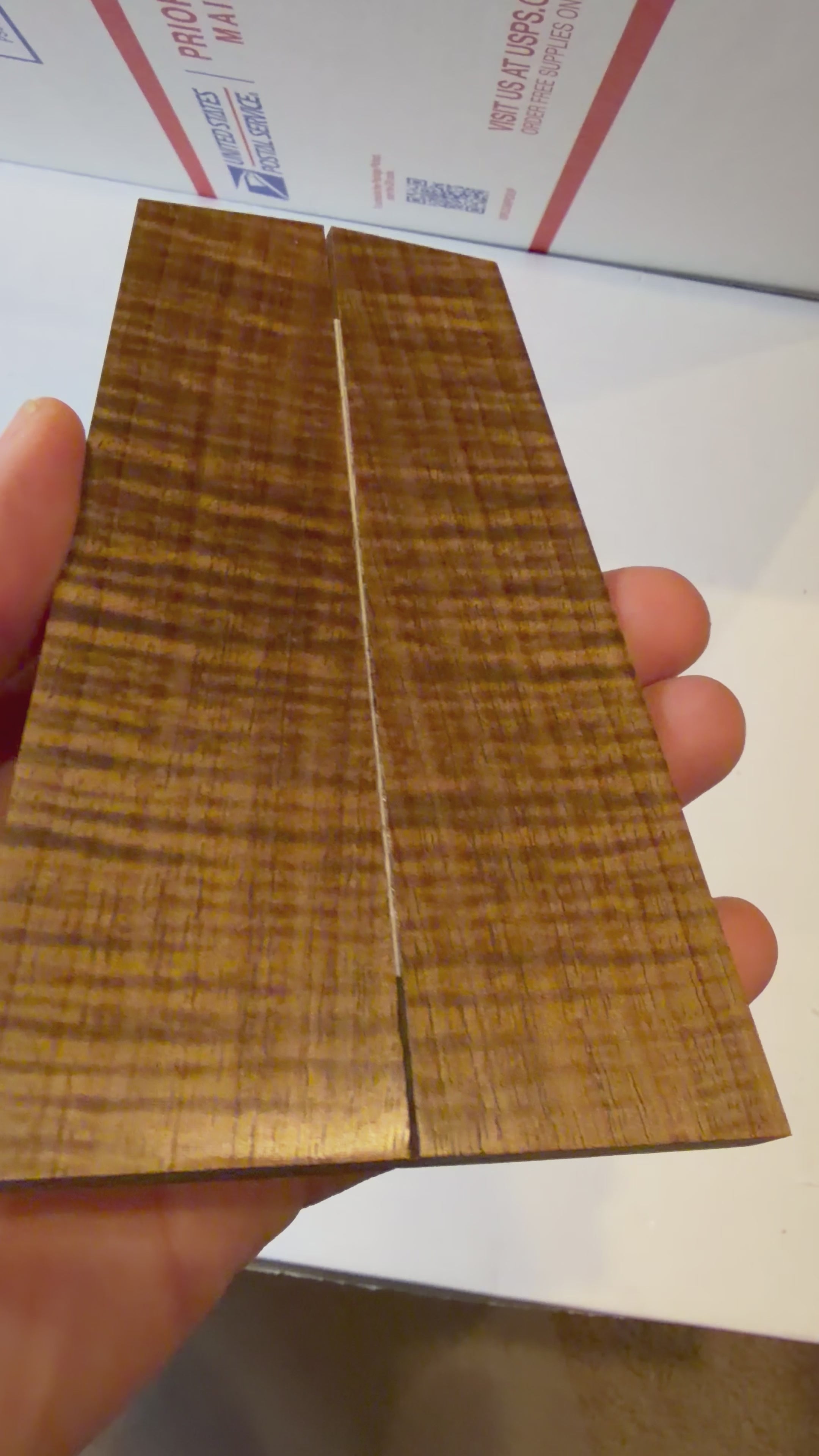Tasmanian Blackwood | #0520